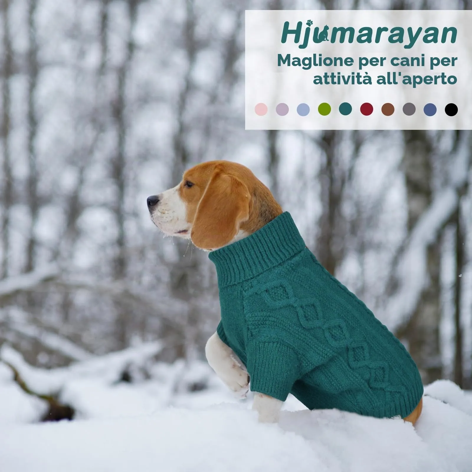 Hjumarayan Maglioncino Cane Taglia Piccola - Semplice & Elegante Con Foro per Guinzaglio, Maglia Termica Chihuahua (Verde Pavone XS) - immagine 6