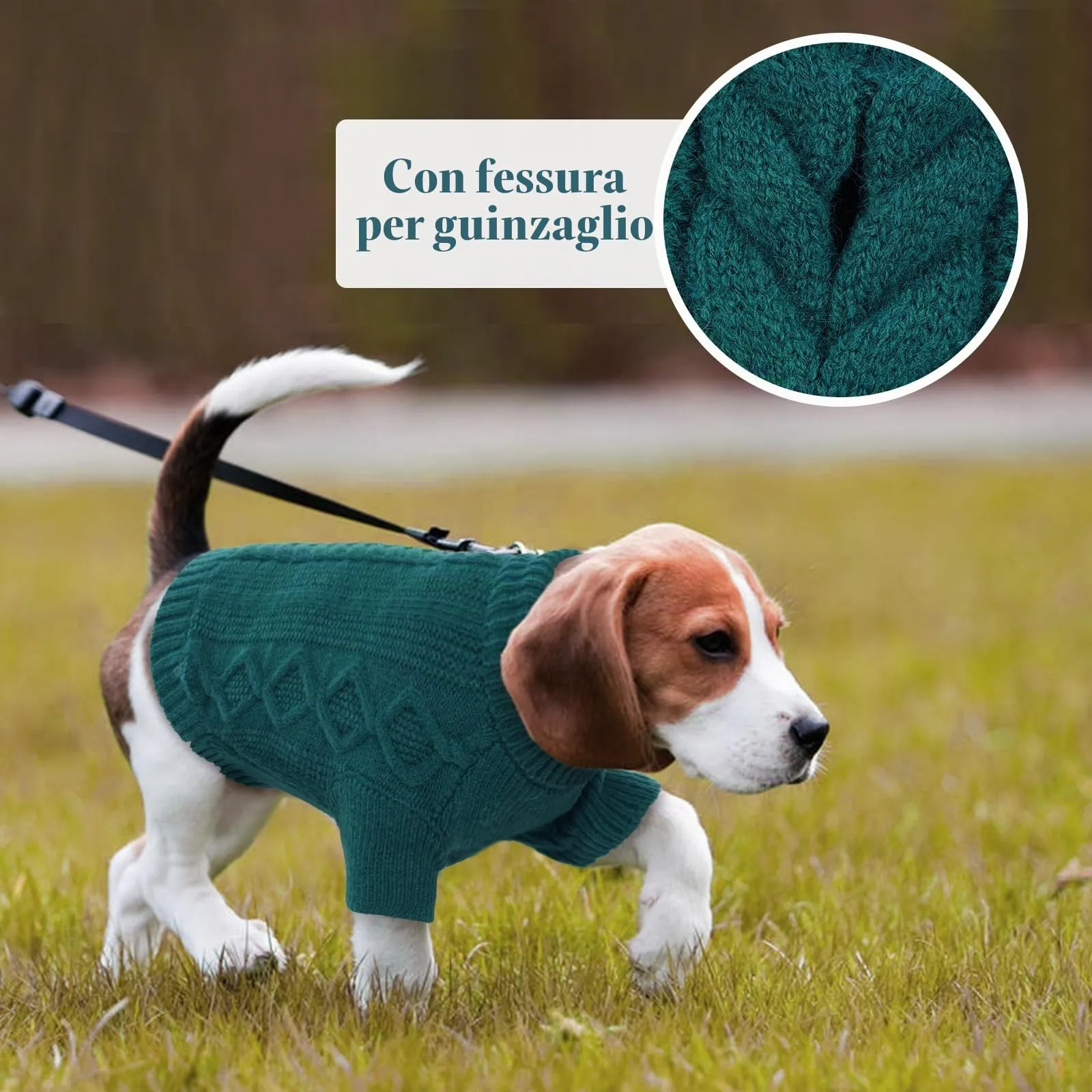 Hjumarayan Maglioncino Cane Taglia Piccola - Semplice & Elegante Con Foro per Guinzaglio, Maglia Termica Chihuahua (Verde Pavone XS) - immagine 7