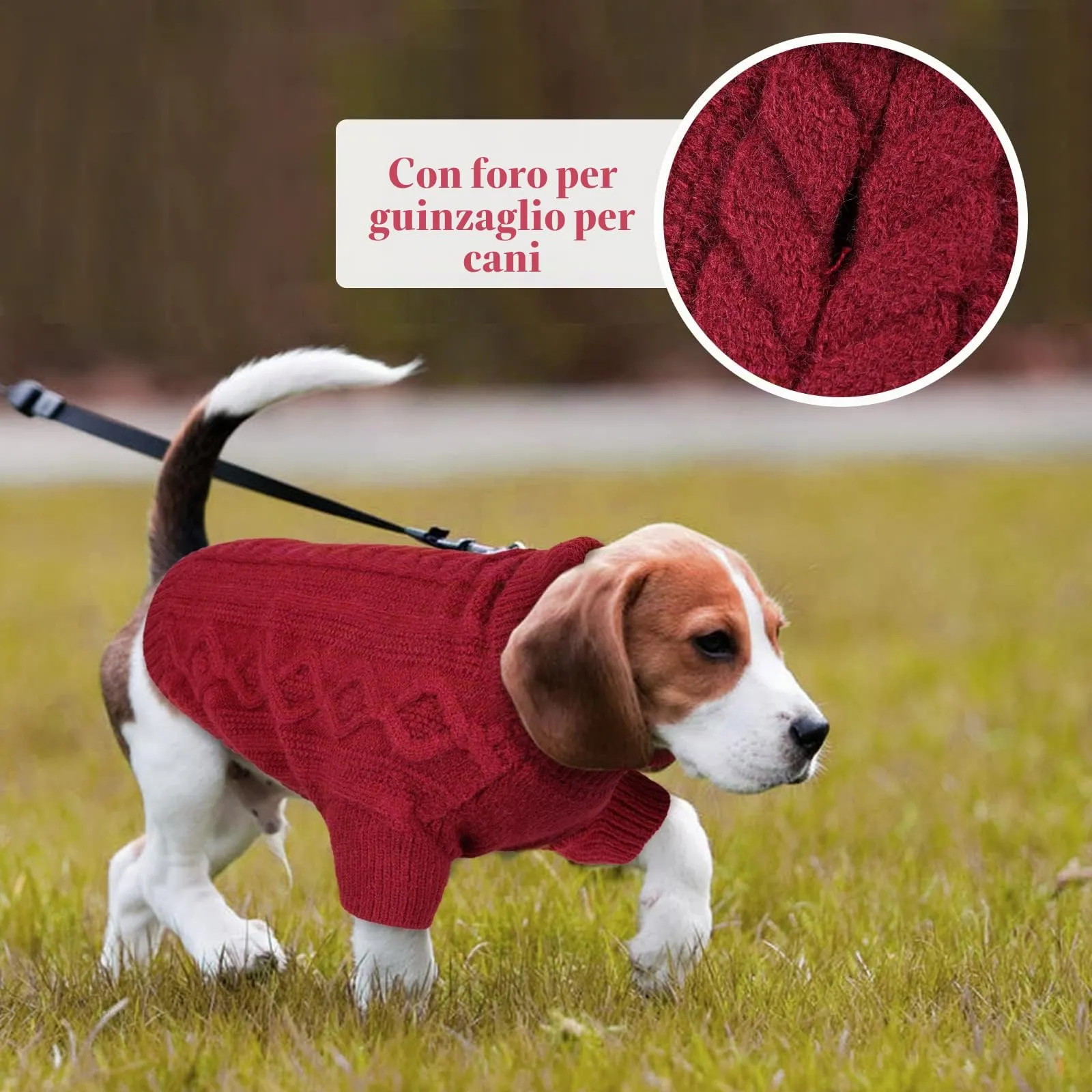 Hjumarayan Maglione Cane Caldo - Maglioncino per Cani con Zampe, Maglioncini per Cani con Foro per Guinzaglio (Rosso Scuro XXL) - immagine 7