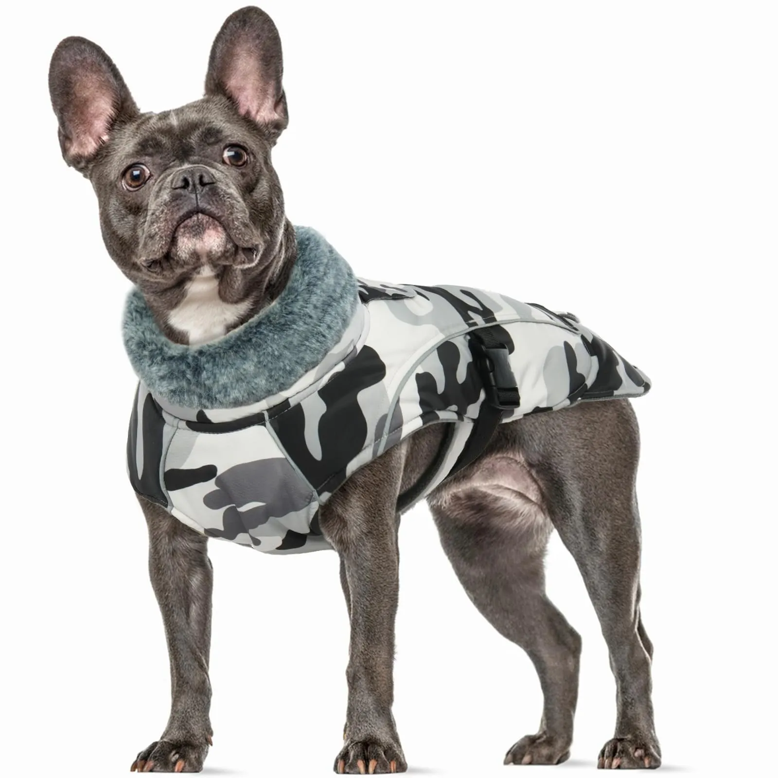 Giubbotto Impermeabile Cane, Giacca Cani Cappottino impermeabile per Cani Taglia Media Cappotti e Giubbotti per Cani di Taglia Media(Camouflage, M) - immagine 1