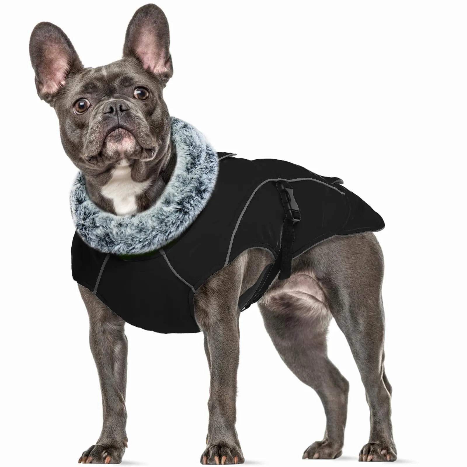Giubbotto Cane Taglia Media, Cappotto Invernale Impermeabile, Giacca da Sci Antivento, Maglione per Cani (Nero, M) - immagine 1