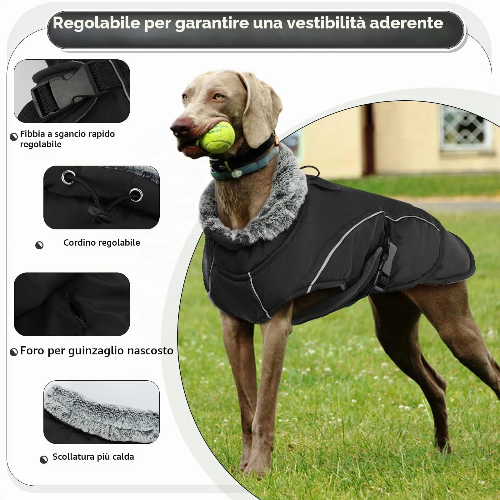 Giubbotto Cane Taglia Media, Cappotto Invernale Impermeabile, Giacca da Sci Antivento, Maglione per Cani (Nero, M) - immagine 3