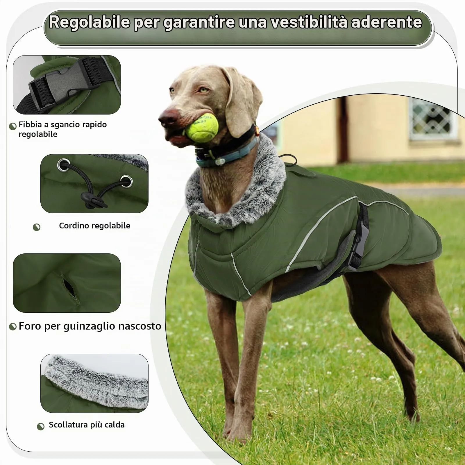 PUMYPOREITY Giacca Invernale Impermeabile Cani, Giubbotto Antivento Calda Cuccioli Riflettente Cappottino con Fodera in Pile Vestito Invernale Gilet Riflettente per Cani(Verde Militare, L) - immagine 3