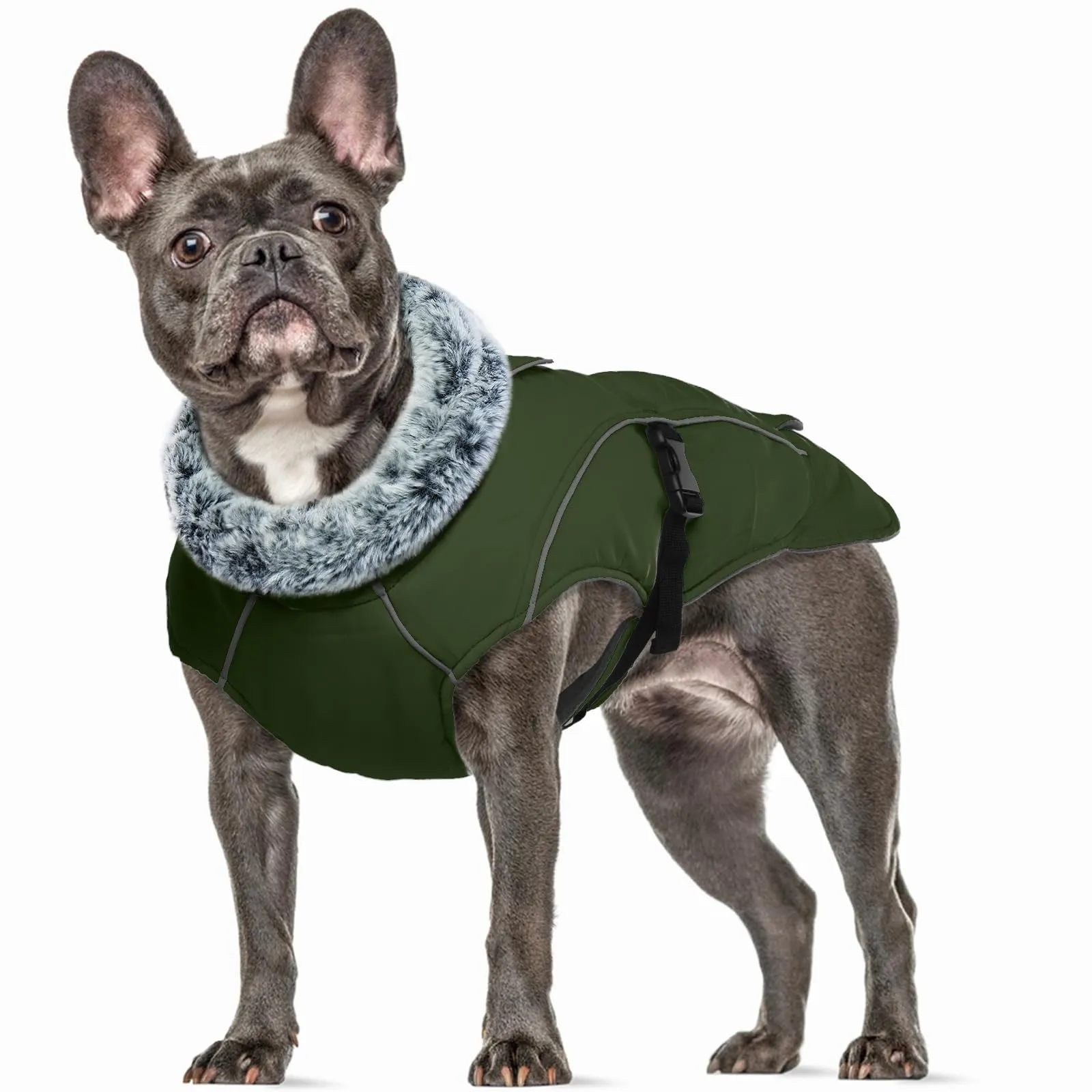 PUMYPOREITY Giacca Invernale Impermeabile Cani, Giubbotto Antivento Calda Cuccioli Riflettente Cappottino con Fodera in Pile Vestito Invernale Gilet Riflettente per Cani(Verde Militare, M) - immagine 1