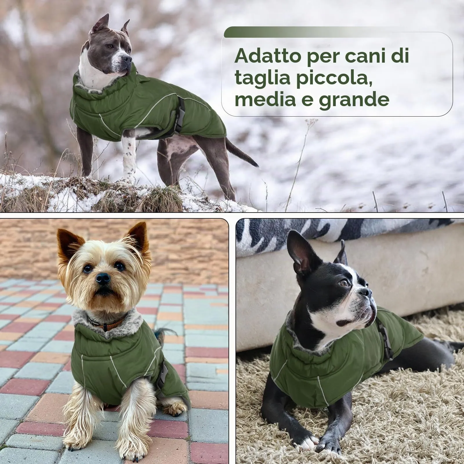 PUMYPOREITY Giacca Invernale Impermeabile Cani, Giubbotto Antivento Calda Cuccioli Riflettente Cappottino con Fodera in Pile Vestito Invernale Gilet Riflettente per Cani(Verde Militare, M) - immagine 6