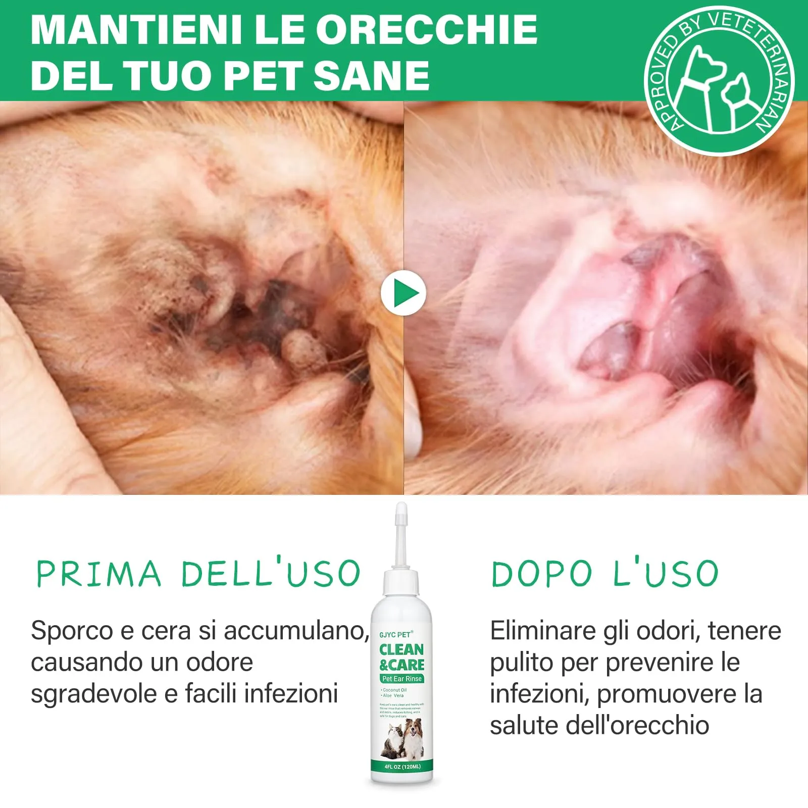 GJYC PET Pulizia Orecchie Cane, Gocce Orecchie Cani, Gocce Orecchie Cane, Detergente Orecchie per Cani, Risciacquo per Le Orecchie del Cane, Soluzione per la Pulizia delle Orecchie del Cane, 4 OZ - immagine 3