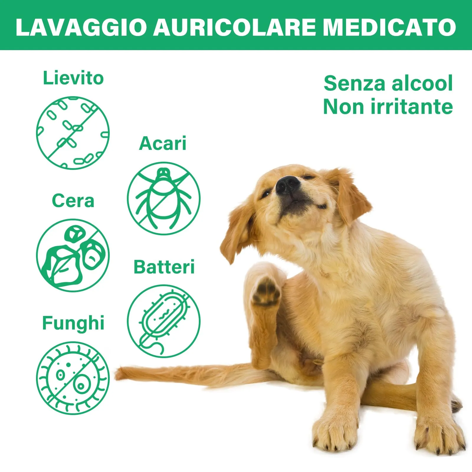 GJYC PET Pulizia Orecchie Cane, Gocce Orecchie Cani, Gocce Orecchie Cane, Detergente Orecchie per Cani, Risciacquo per Le Orecchie del Cane, Soluzione per la Pulizia delle Orecchie del Cane, 4 OZ - immagine 4