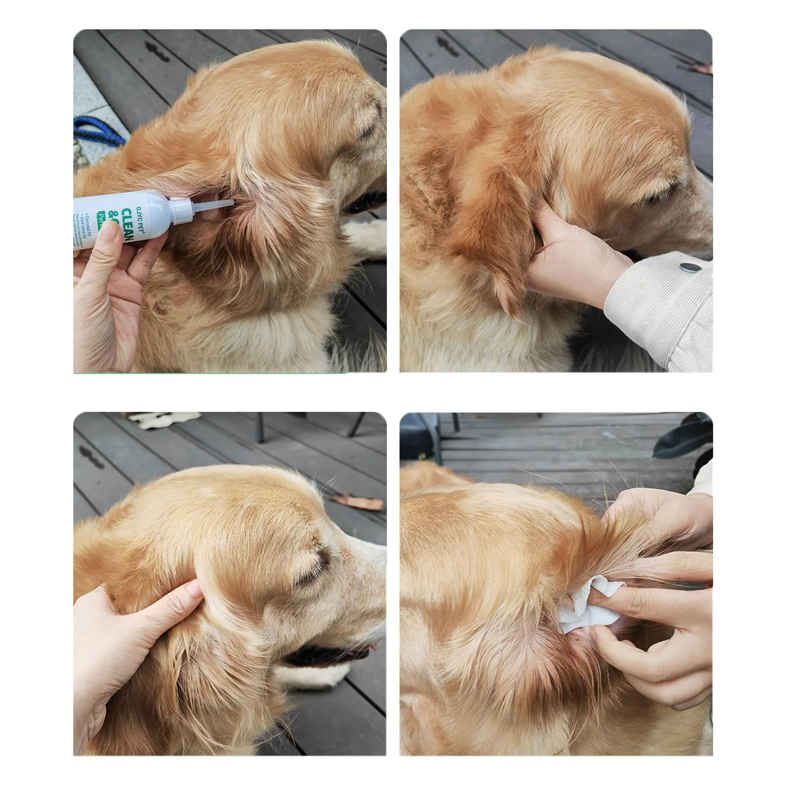 GJYC PET Pulizia Orecchie Cane, Gocce Orecchie Cani, Gocce Orecchie Cane, Detergente Orecchie per Cani, Risciacquo per Le Orecchie del Cane, Soluzione per la Pulizia delle Orecchie del Cane, 4 OZ - immagine 9