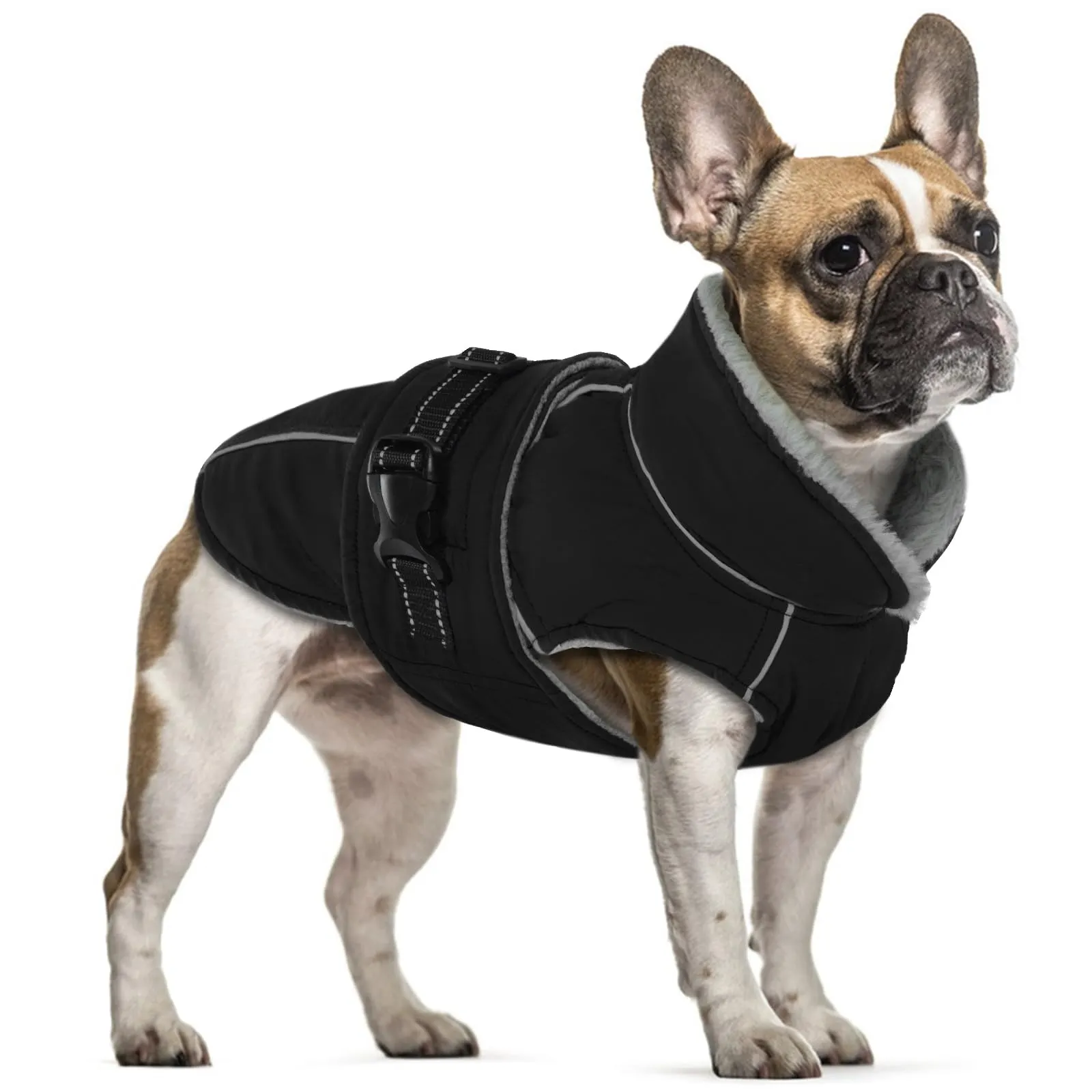 PUMYPOREITY Cappotto Cani Invernale, Giacca Impermeabile in Pile Giacca Cani Neve Caldo Cappotti e Giubbotti per Cane Piccoli Piumino Cane Cappottino Imbottito Cani(Nero, S) - immagine 1