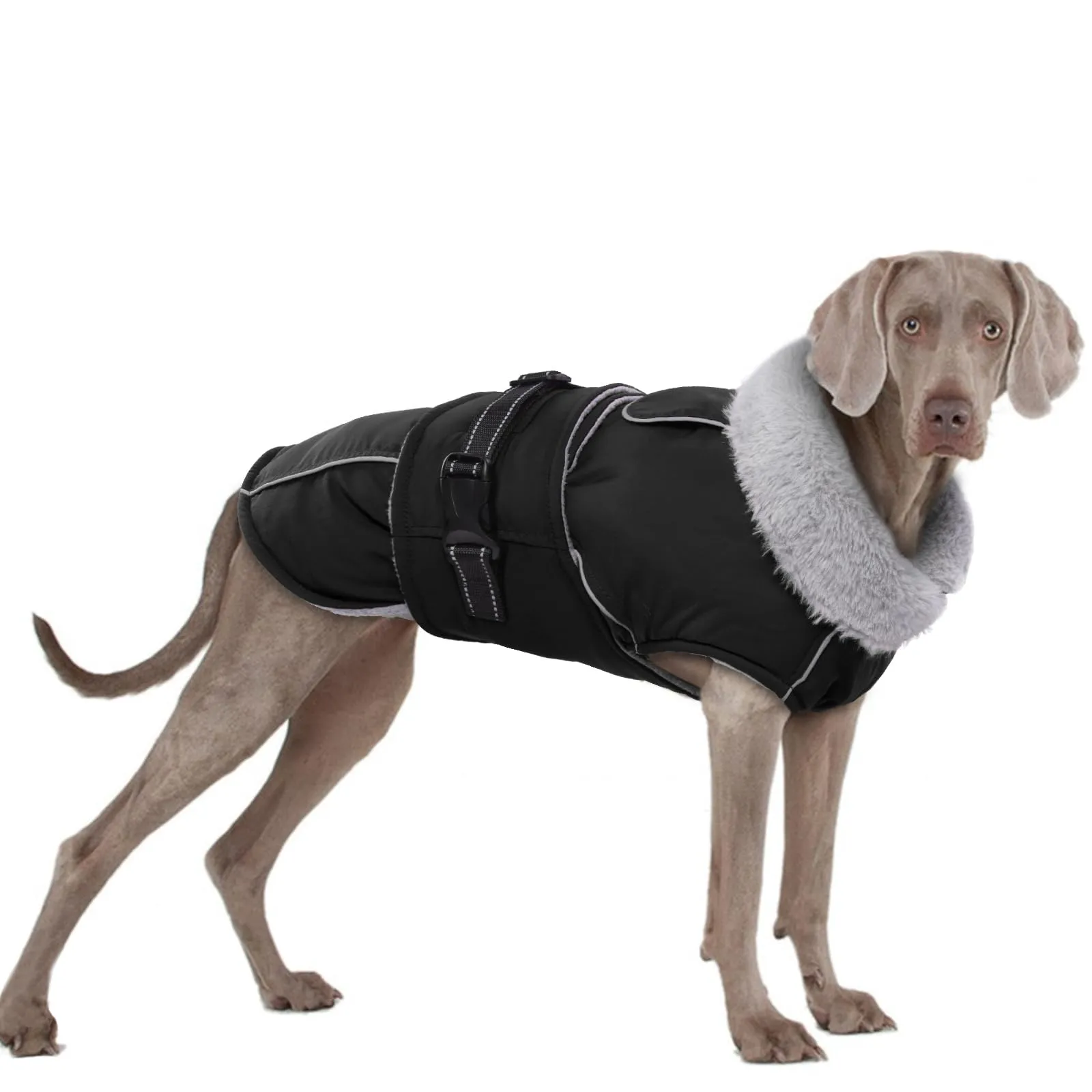 PUMYPOREITY Giacca Invernale per cani, Giubbini Cani Invernali Cappotto Pile Caldo Antivento Giubbotto Cani Taglia Media Gilet Cappottino Impermeabile per Cani Grandi(Nero, 2XL) - immagine 1