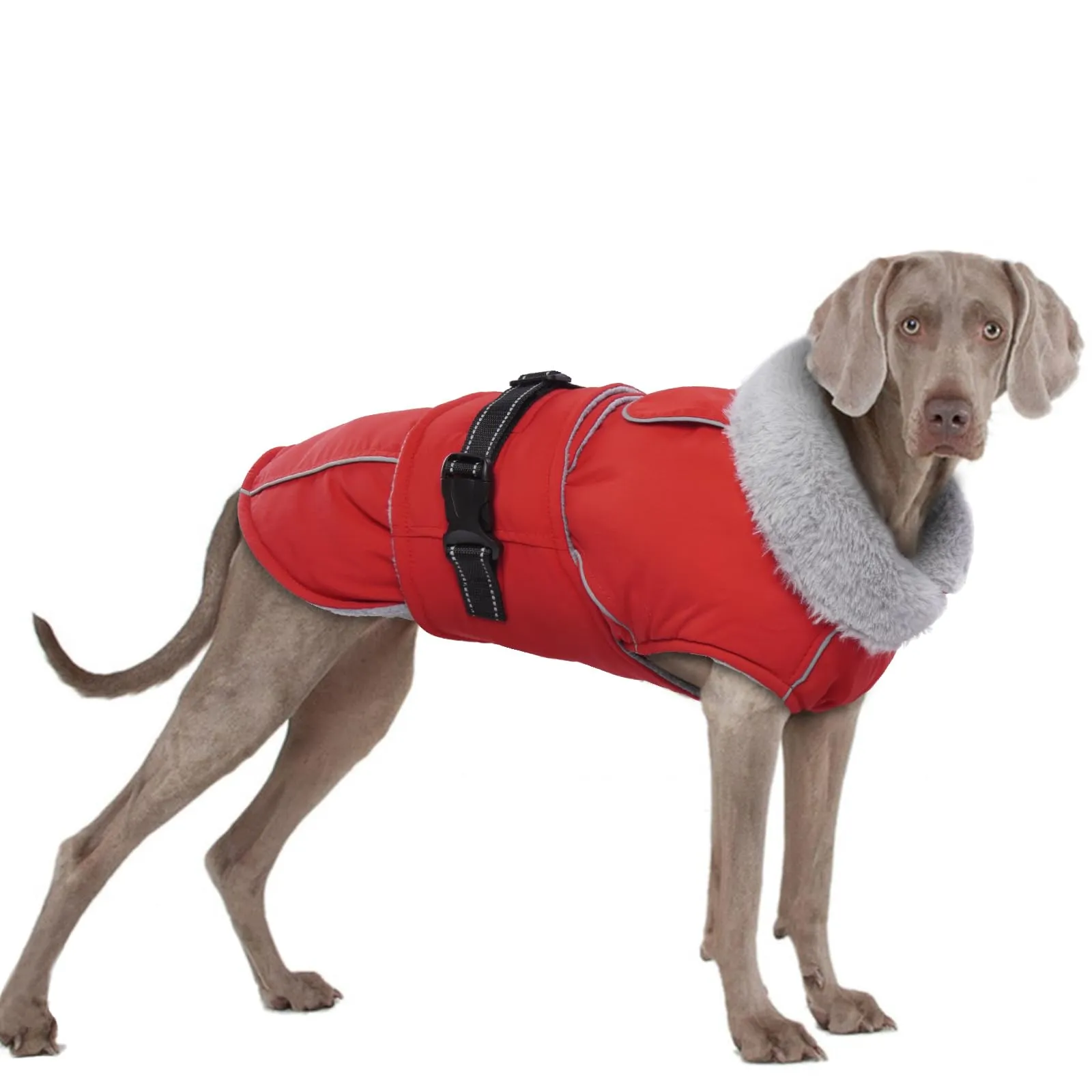 Cappottino Cane Taglia Grande, Giacca Antipioggia per Cani Cappotto Cane Invernale Taglia Grande Piumino Cane(Rosso, 2XL) - immagine 1