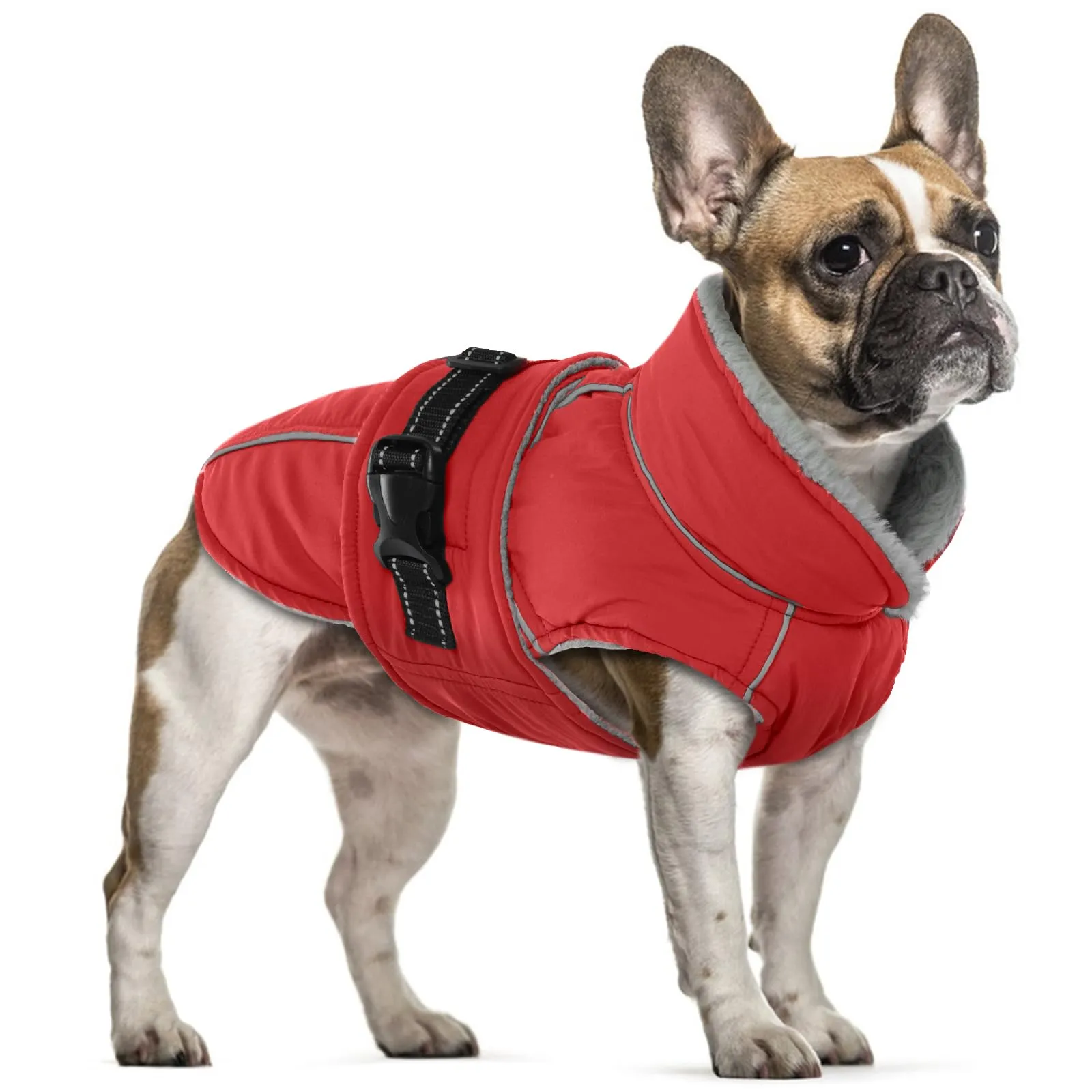 Cappotto in pile per cani, impermeabile e accogliente per cani di piccola taglia, per il freddo, antivento, invernale, riscaldato, con fodera in pile, per pioggia leggera, giorni di nebbia, clima - immagine 1