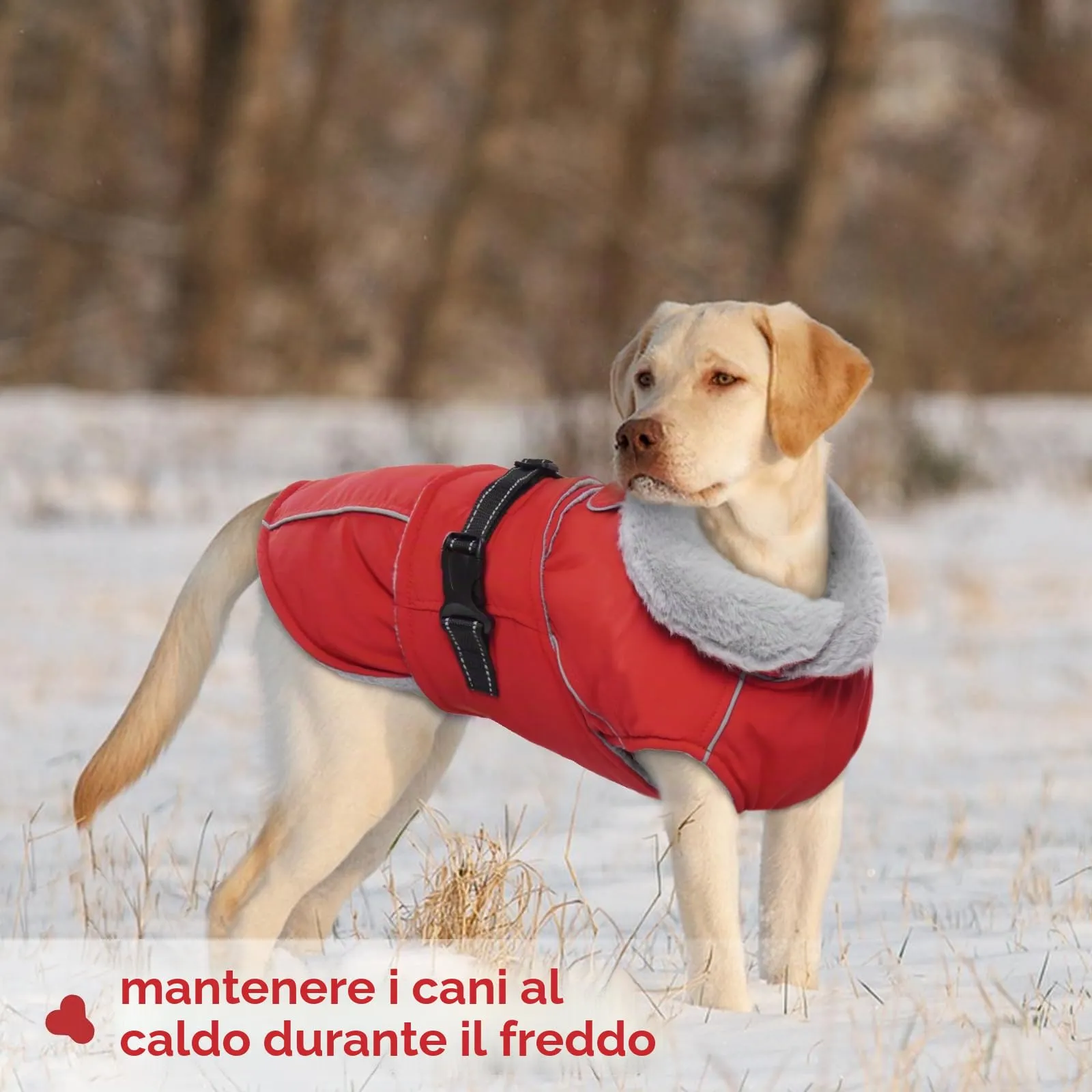 Cappotto in pile per cani, impermeabile e accogliente per cani di piccola taglia, per il freddo, antivento, invernale, riscaldato, con fodera in pile, per pioggia leggera, giorni di nebbia, clima - immagine 6