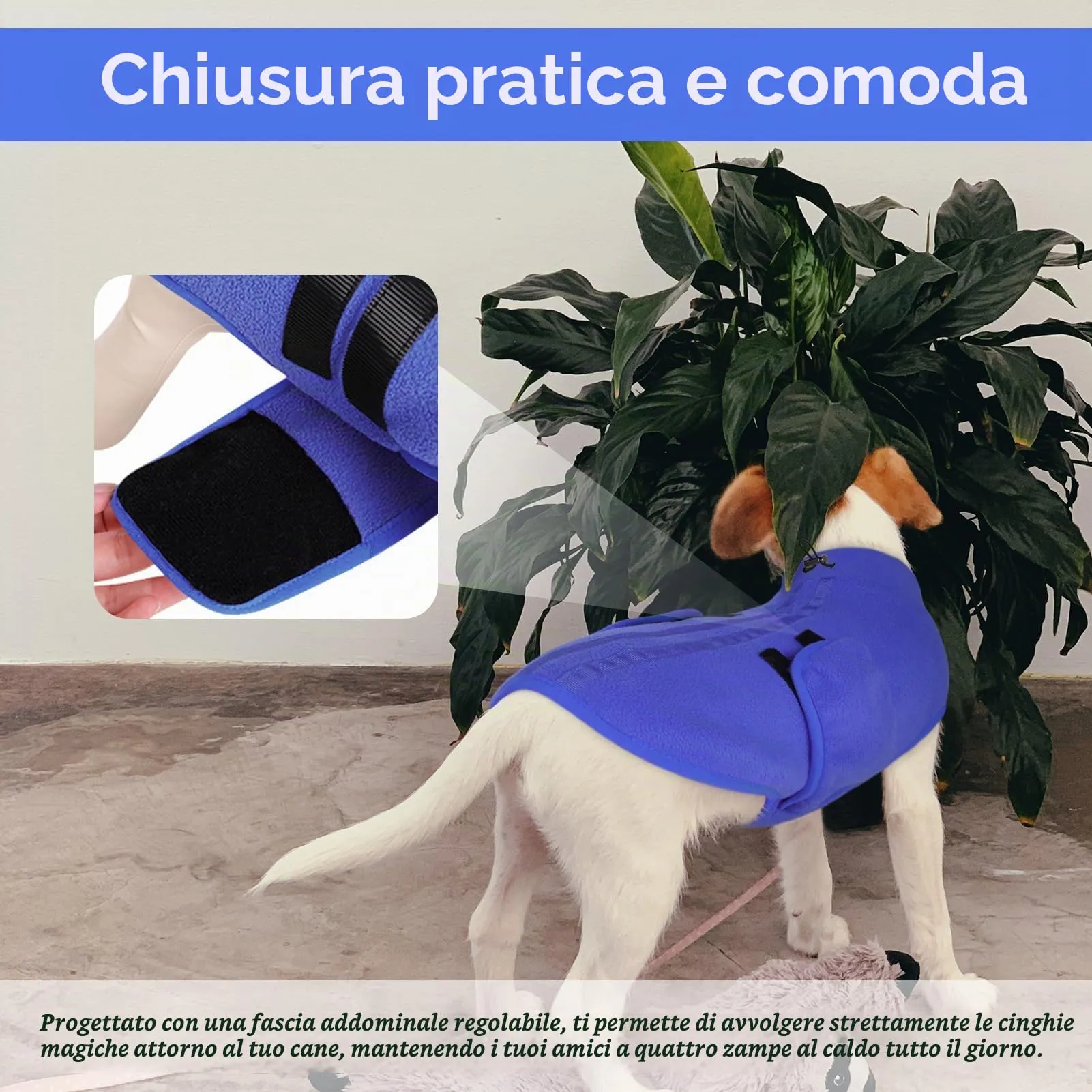 Queenmore Maglioncino Cane, Felpa Cane Taglia Piccola, Maglione Cane Caldo - immagine 4