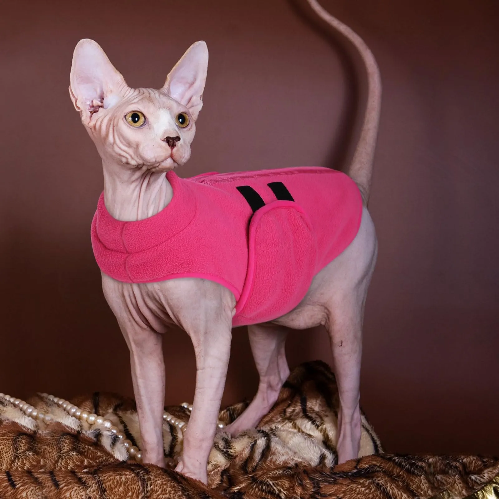 Queenmore Cappotto Cane, Maglioncino Cane Taglia Grande Cappotto Invernale - immagine 8