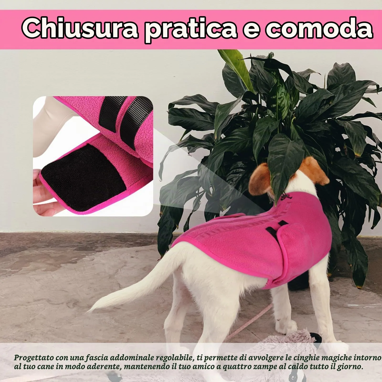 Queenmore Maglioncino Per Cani, Felpa Taglia Piccola, Cappotto Invernale - immagine 4