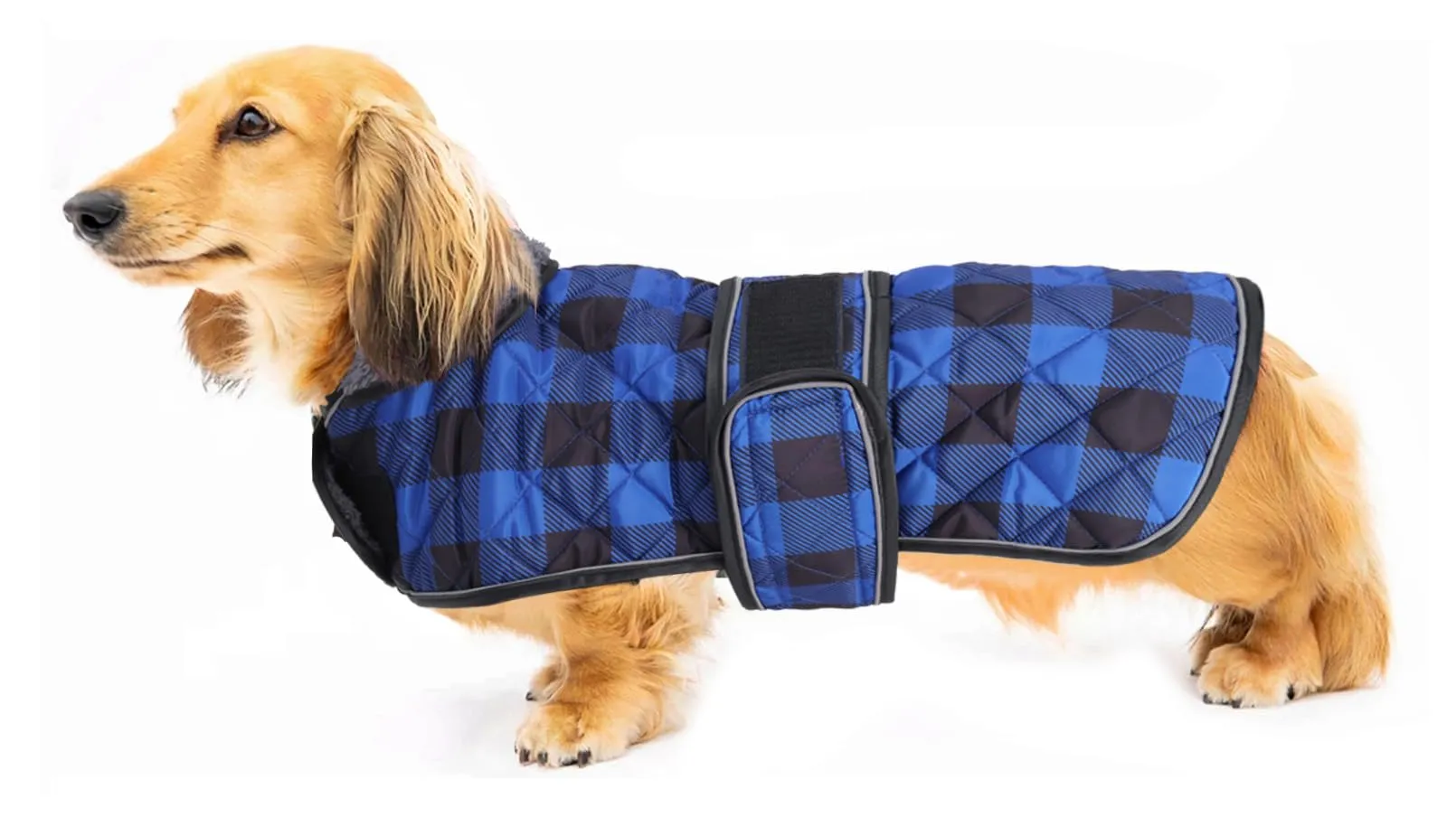 Geyecete, Cappotto impermeabile termico caldo trapuntato per bassotti con fodera interna in caldo pile, Abbigliamento per cani da esterno con fasce regolabili per cani - Blu - Taglia L - immagine 1