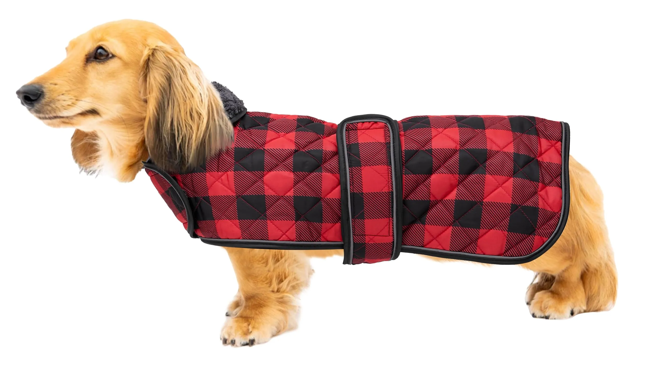 Geyecete Impermeabile Cappotto Cane, Bassotto Invernale Cappotto,Giacca del Cane con fodera in pile calda all'interno,Abbigliamento Regolabile per Cani all'aperto per Miniatura Bassotto-Rosso-XS - immagine 1