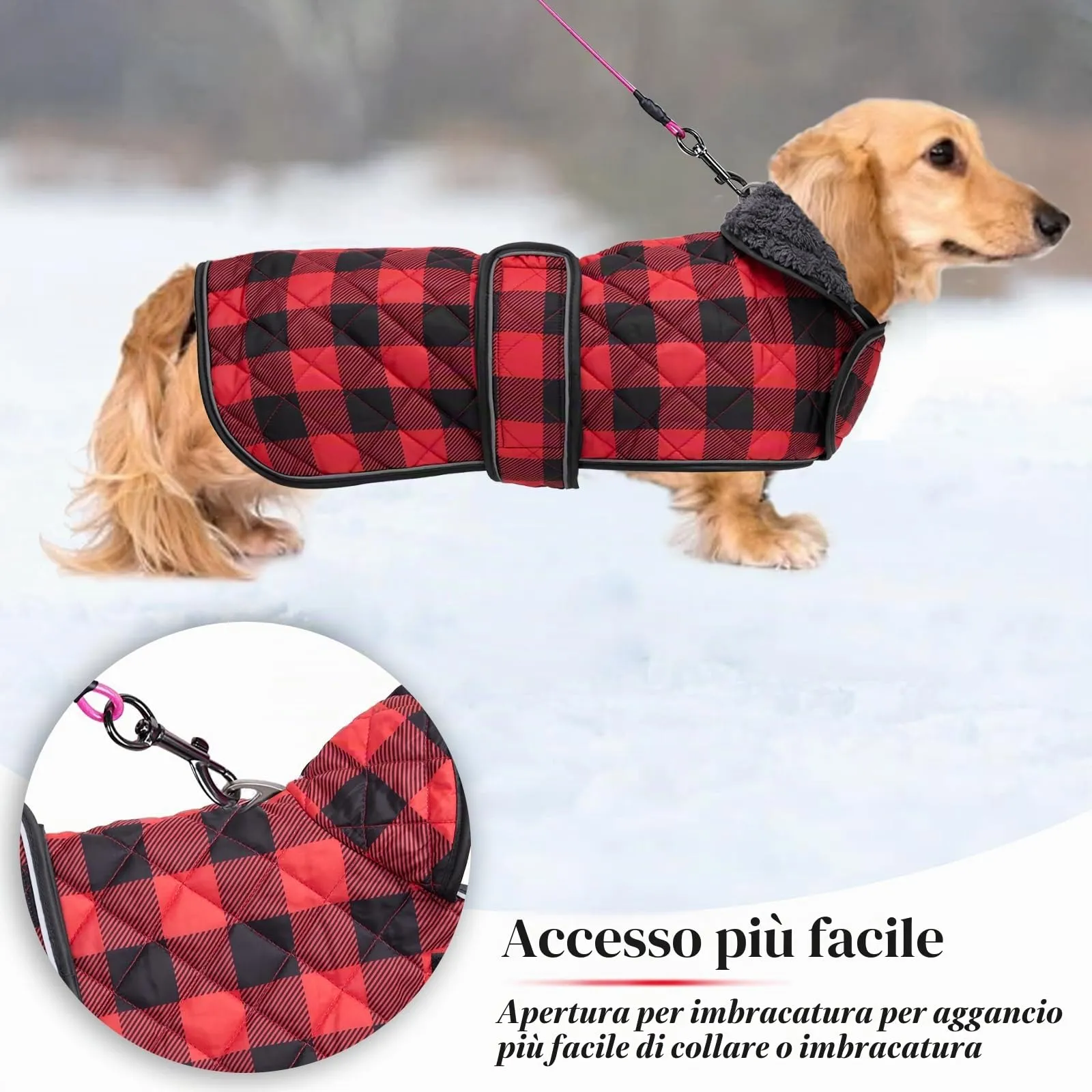 Geyecete Impermeabile Cappotto Cane, Bassotto Invernale Cappotto,Giacca del Cane con fodera in pile calda all'interno,Abbigliamento Regolabile per Cani all'aperto per Miniatura Bassotto-Rosso-XS - immagine 3