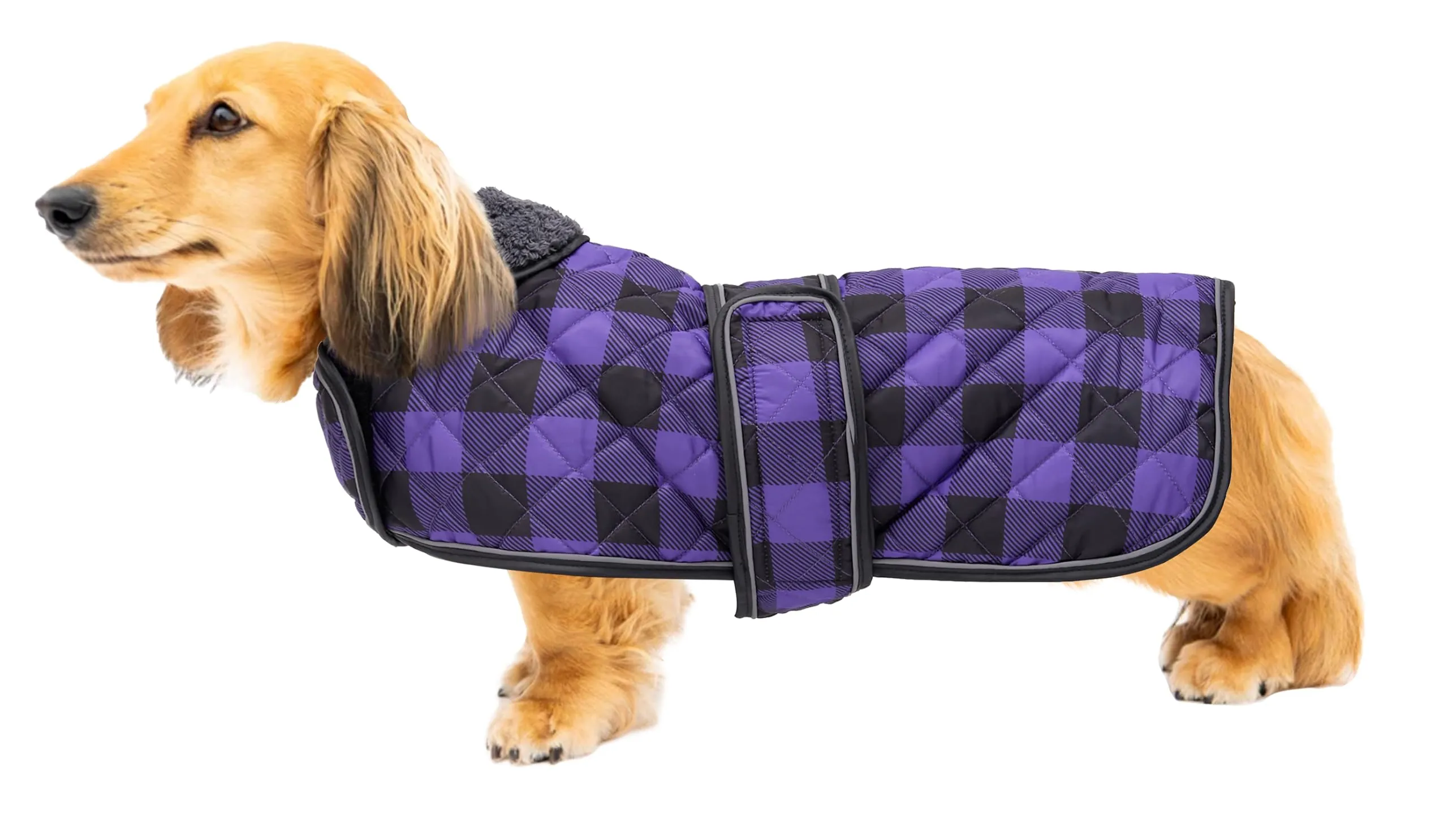 Geyecete Impermeabile Cappotto Cane, Bassotto Invernale Cappotto,Giacca del Cane con fodera in pile calda all'interno,Abbigliamento Regolabile per Cani all'aperto per Miniatura Bassotto-Viola-S - immagine 1