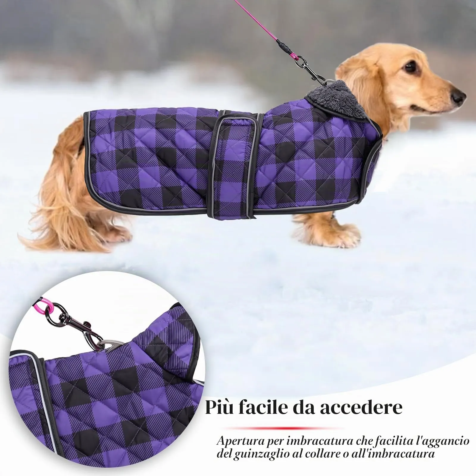 Geyecete Impermeabile Cappotto Cane, Bassotto Invernale Cappotto,Giacca del Cane con fodera in pile calda all'interno,Abbigliamento Regolabile per Cani all'aperto per Miniatura Bassotto-Viola-S - immagine 3
