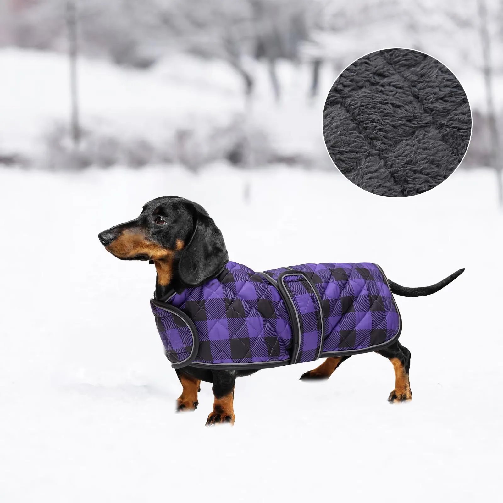 Geyecete Impermeabile Cappotto Cane, Bassotto Invernale Cappotto,Giacca del Cane con fodera in pile calda all'interno,Abbigliamento Regolabile per Cani all'aperto per Miniatura Bassotto-Viola-S - immagine 7