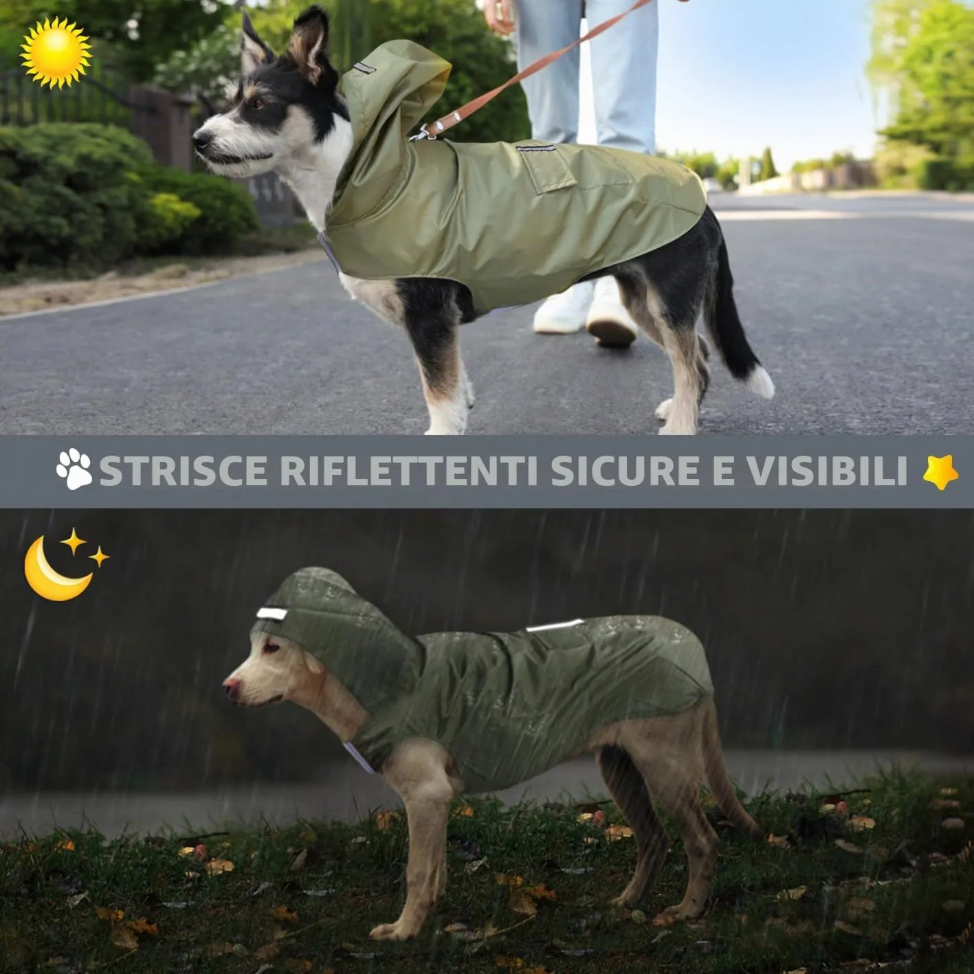 Idepet - Mantella per cani con cappuccio e foro per il collare, impermeabile e riflettente, per cani di piccola, media e grande taglia (XL, Verde) - immagine 5