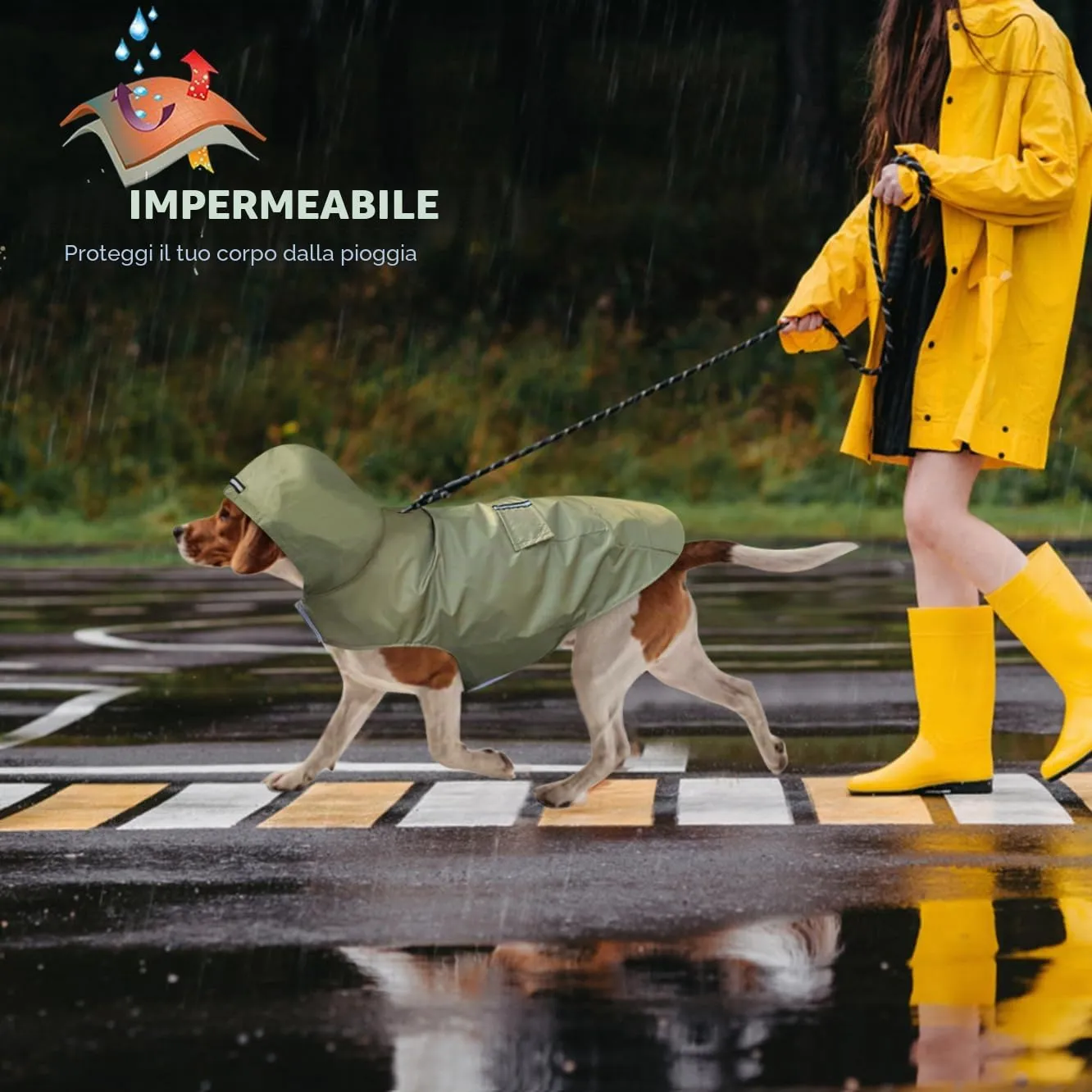 Idepet - Mantella per cani con cappuccio e foro per il collare, impermeabile e riflettente, per cani di piccola, media e grande taglia (3XL, Verde) - immagine 6