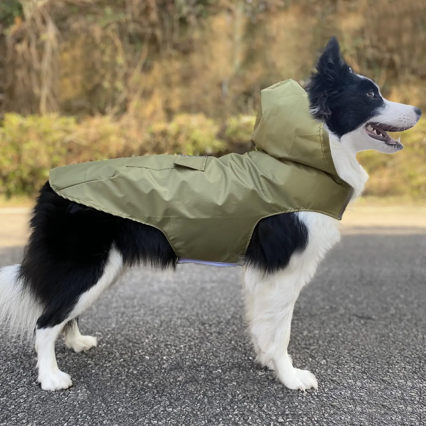 Idepet - Mantella per cani con cappuccio e foro per il collare, impermeabile e riflettente, per cani di piccola, media e grande taglia (4XL, Verde) - immagine 7