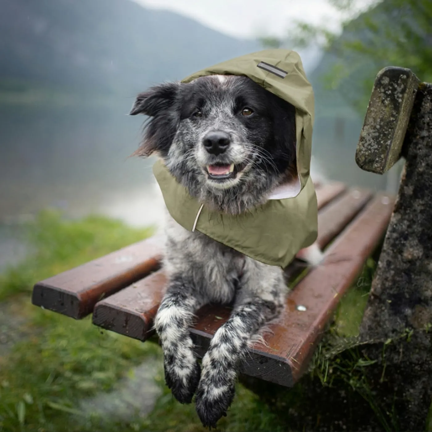 Idepet - Mantella per cani con cappuccio e foro per il collare, impermeabile e riflettente, per cani di piccola, media e grande taglia (5XL, Verde) - immagine 7