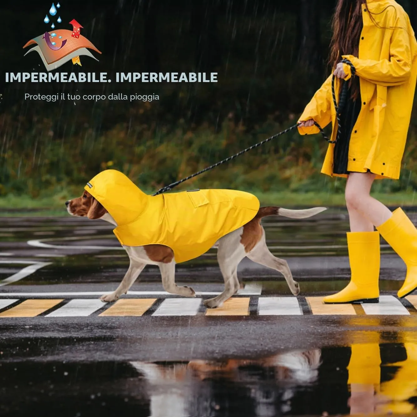 Idepet - Mantella per cani con cappuccio e foro per il collare, impermeabile e riflettente, per cani di piccola, media e grande taglia (L, Giallo) - immagine 6