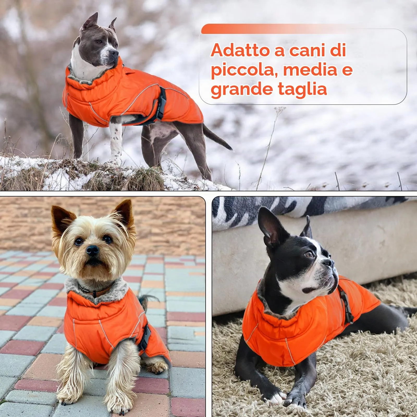 Cappotto invernale per cani, impermeabile e caldo, gilet imbottito in pile spesso, resistente alla neve, arancione, L - immagine 6