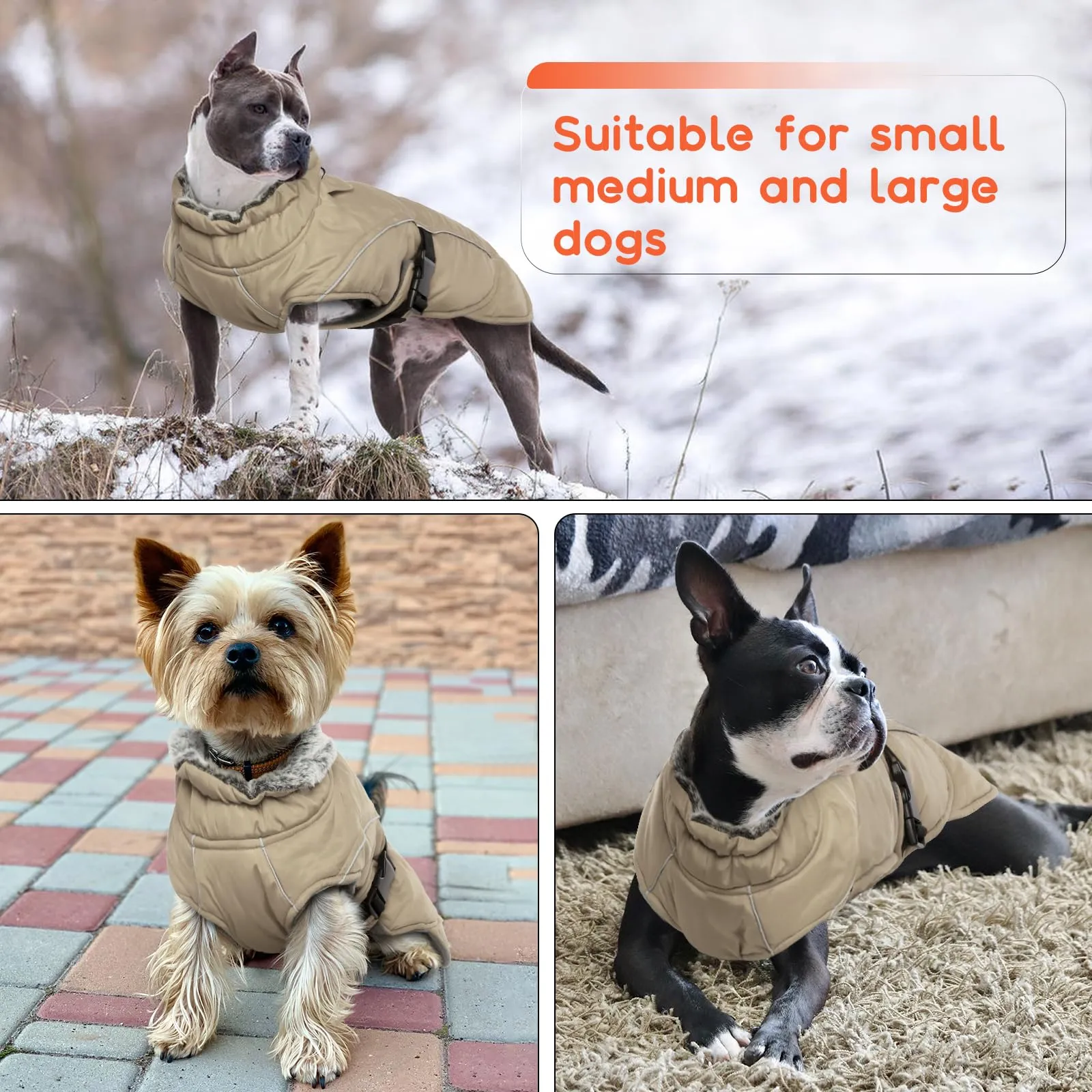 Cappottino Invernale per Cani di Piccola Taglia - Impermeabile e Caldo, Giacca in Peluche per Cuccioli, Autunno e Inverno, Vestiti per Chihuahua - immagine 6