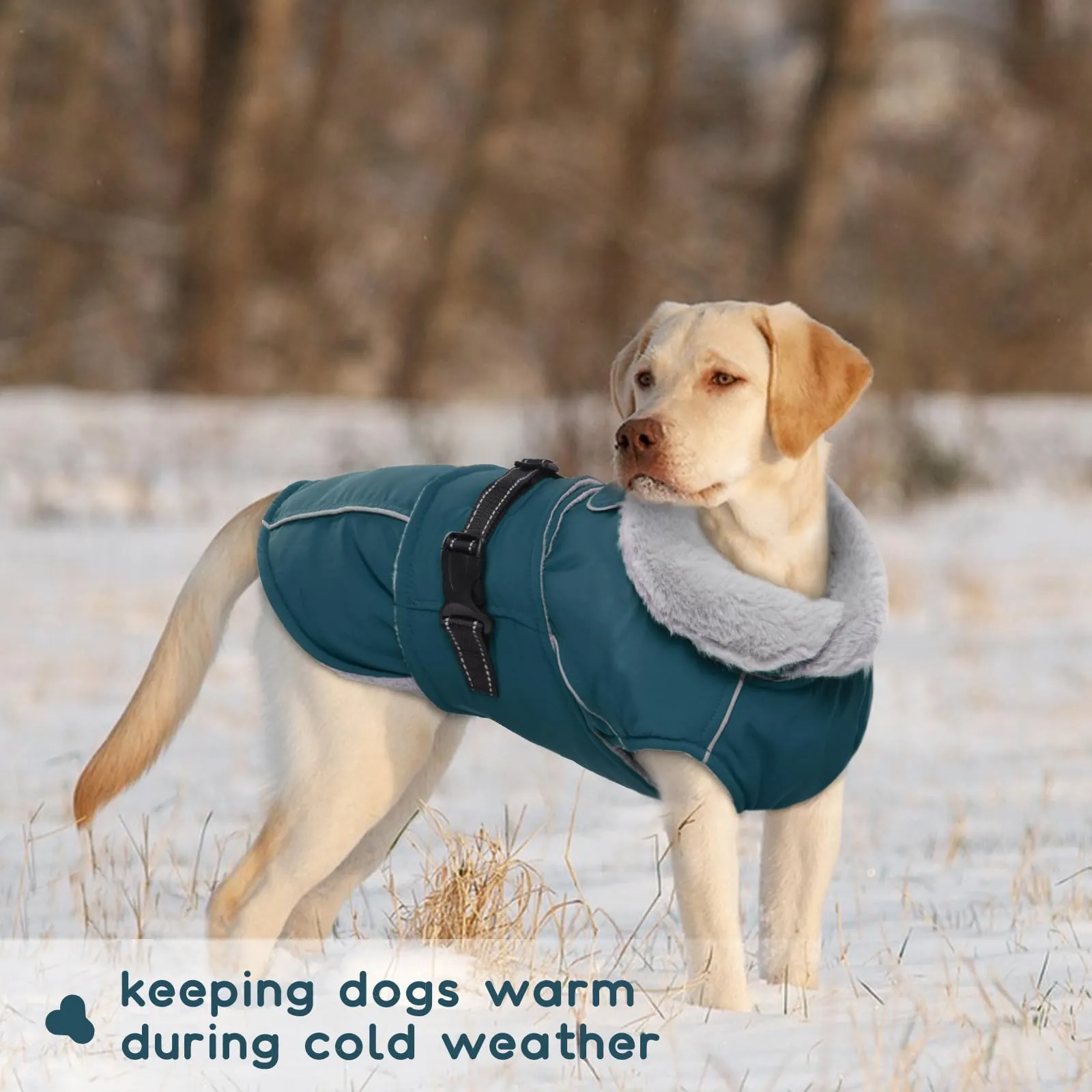 Cappotto Cani Taglia Grande, Giacca Invernale per cani Giubbini Cani Invernali Cappotto Pile Caldo Cani Antivento Giubbotto Cani Gilet Cappottino XXXL Impermeabile per Cani(Verde Scuro, 3XL) - immagine 6