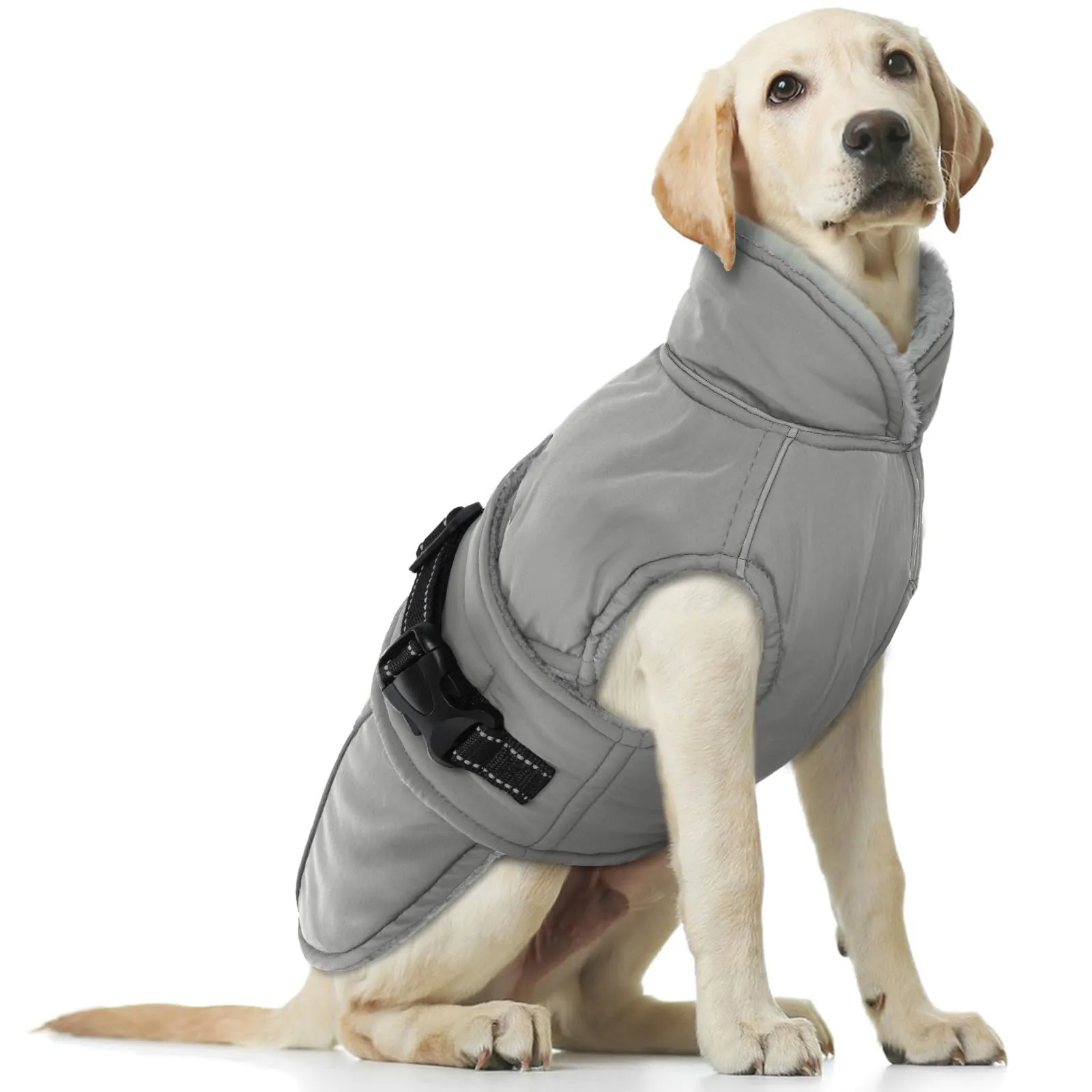 Cappotto Cani Invernale, Giacca Impermeabile Cani in Pile Giacca Cani Neve Caldo Cappotti e Giubbotti per Cani Piumino Cane Cappotto XL Imbottito Cani(Grigio, XL) - immagine 1