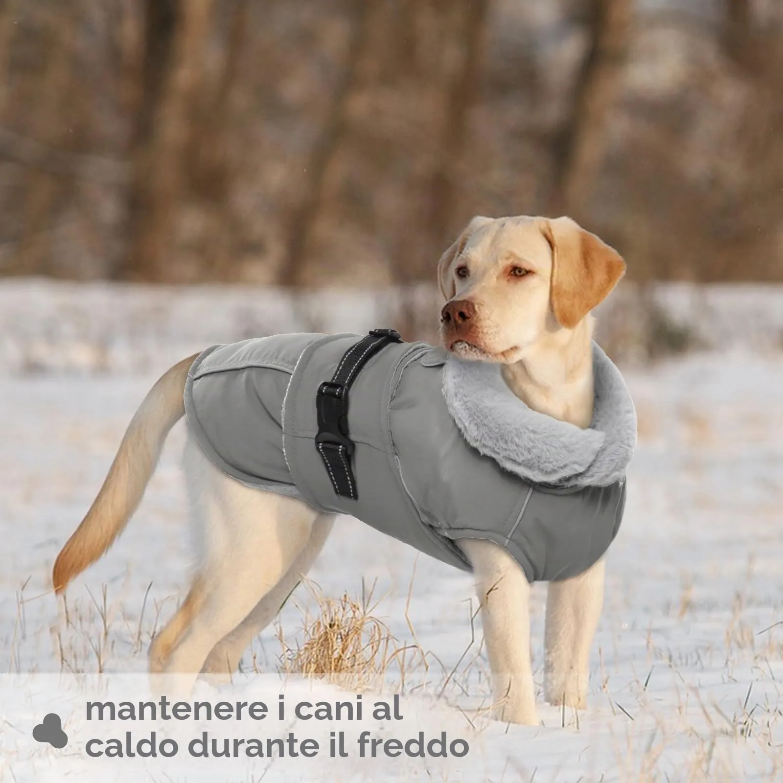 Cappotto Cani Invernale, Giacca Impermeabile Cani in Pile Giacca Cani Neve Caldo Cappotti e Giubbotti per Cani Piumino Cane Cappotto XL Imbottito Cani(Grigio, XL) - immagine 6