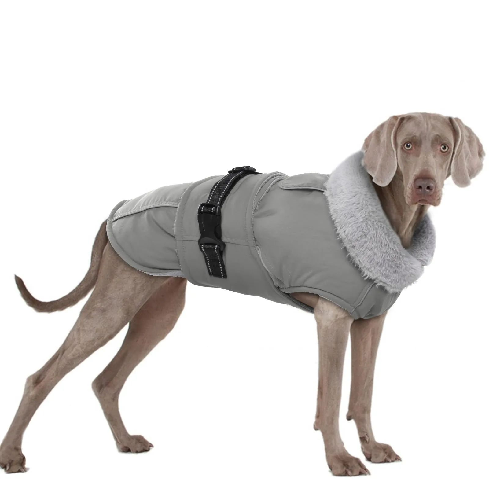 Cappotto Cani Invernale, Giacca Impermeabile Cani in Pile Giacca Cani Neve Caldo Cappotti e Giubbotti per Cani Piumino Cane Cappottino XXL Imbottito Cani(Grigio, 2XL) - immagine 1