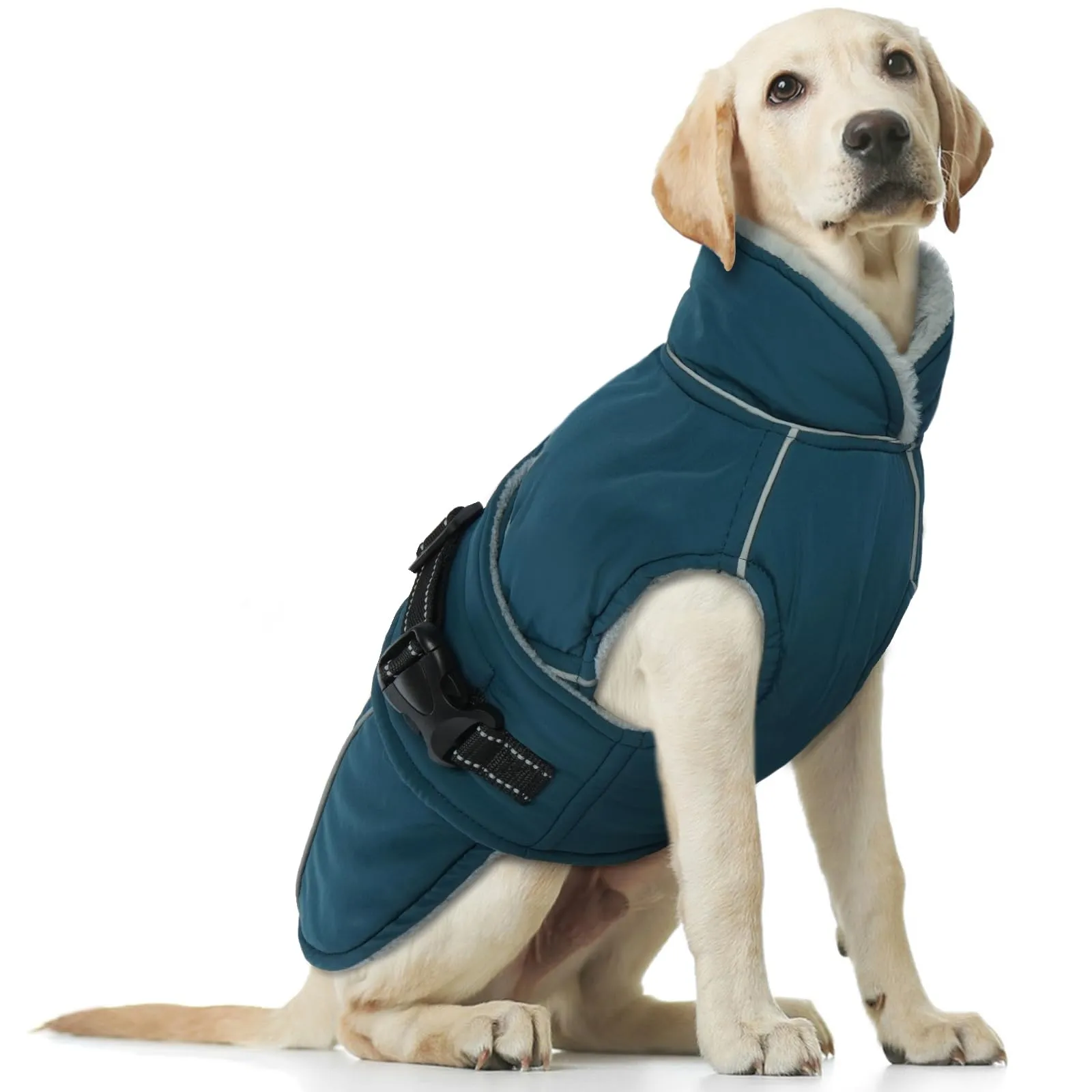 Cappotto Cane Impermeabile, Felpa Cane Taglia Grande, Riflettente (Verde Scuro, XL) - immagine 1