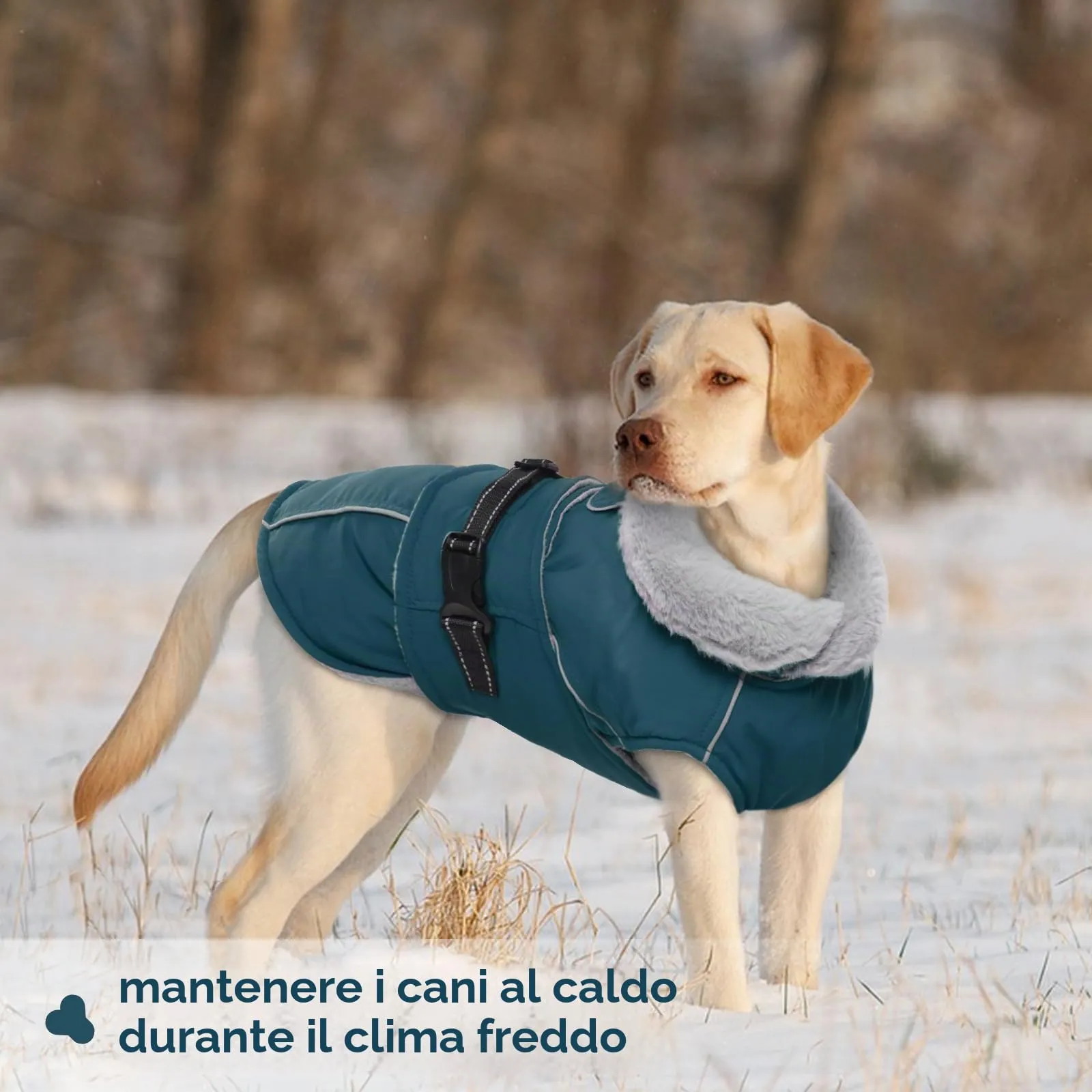 Cappotto Cane Impermeabile, Felpa Cane Taglia Grande, Riflettente (Verde Scuro, XL) - immagine 6