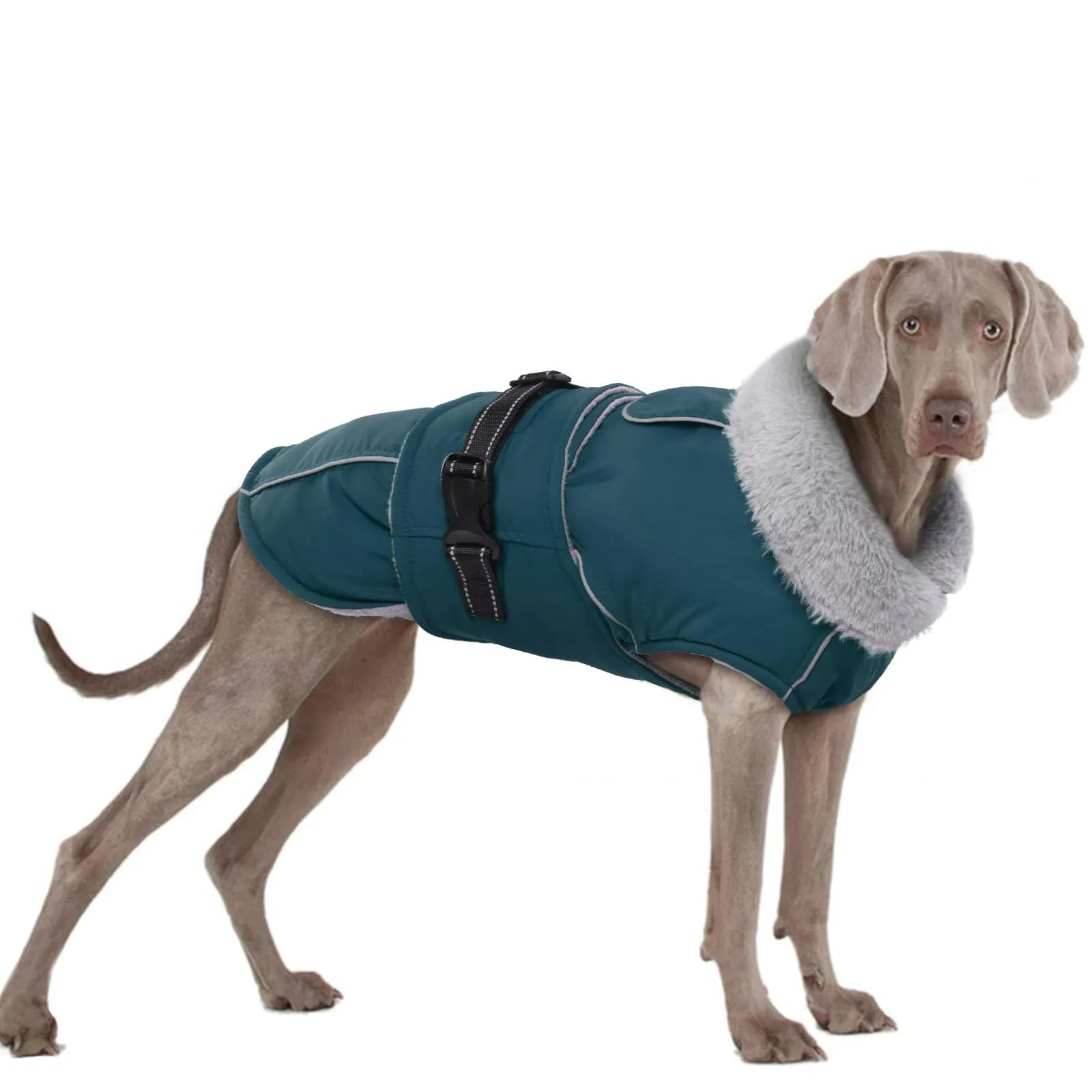 Cappotto Cani Invernale, Giacca Impermeabile Cani in Pile Giacca Cani Neve Caldo Cappotti e Giubbotti per Cani Piumino Cane Cappottino Imbottito Cani(Verde Scuro, 2XL) - immagine 1