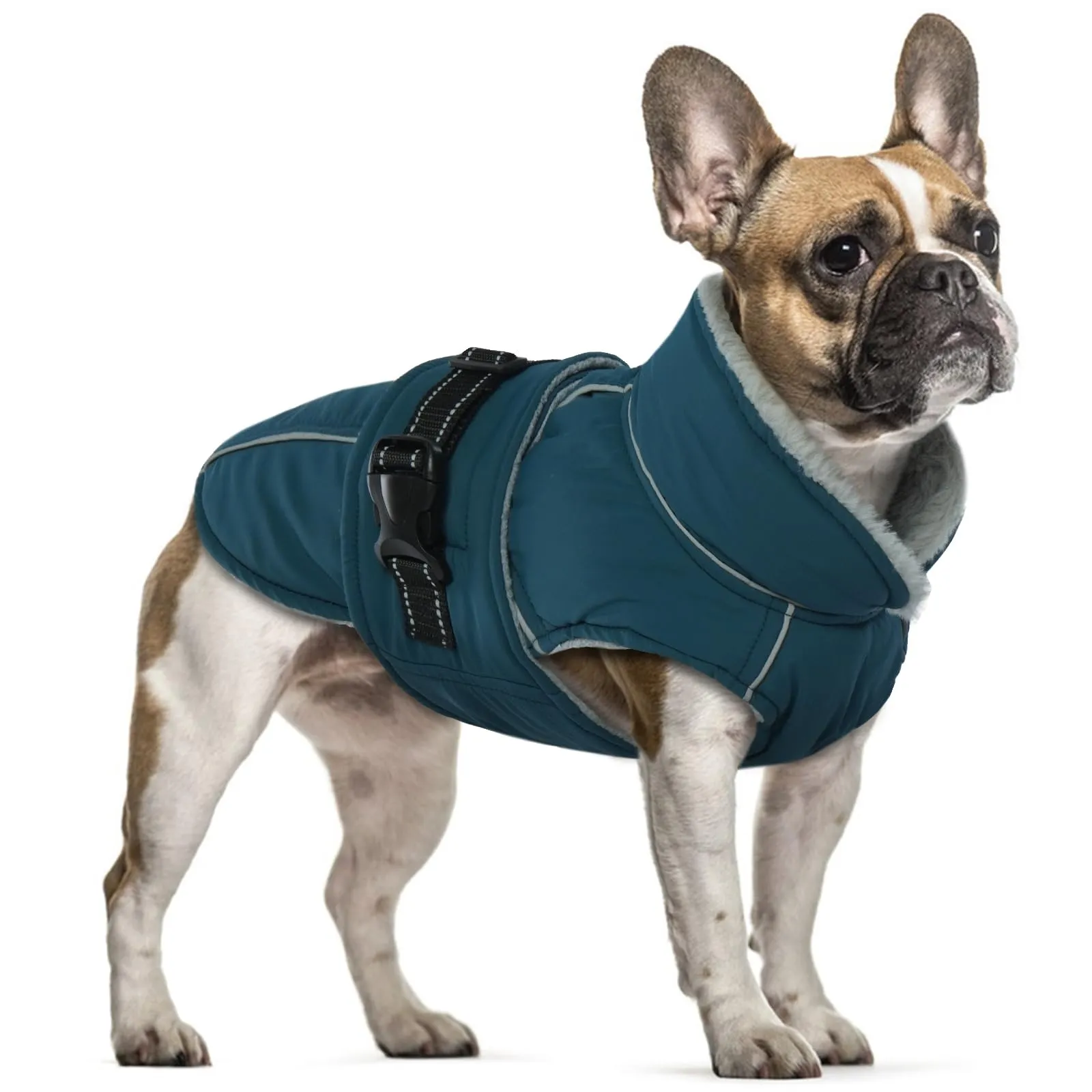 Cappotto per Cani Invernale, Giacca Impermeabile e Calda con Pile, Piumino Imbottito per Cani (Verde Scuro, M) - immagine 1