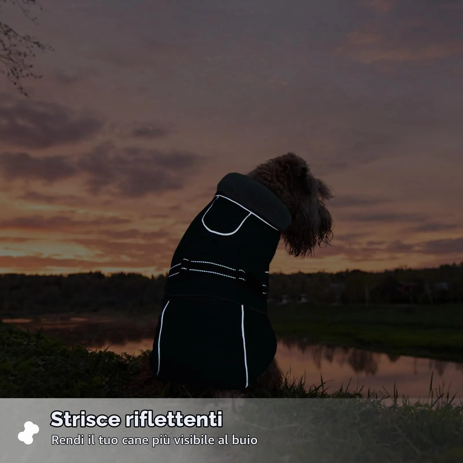 Cappotto per Cani Invernale, Giacca Impermeabile e Calda con Pile, Piumino Imbottito per Cani (Verde Scuro, M) - immagine 5