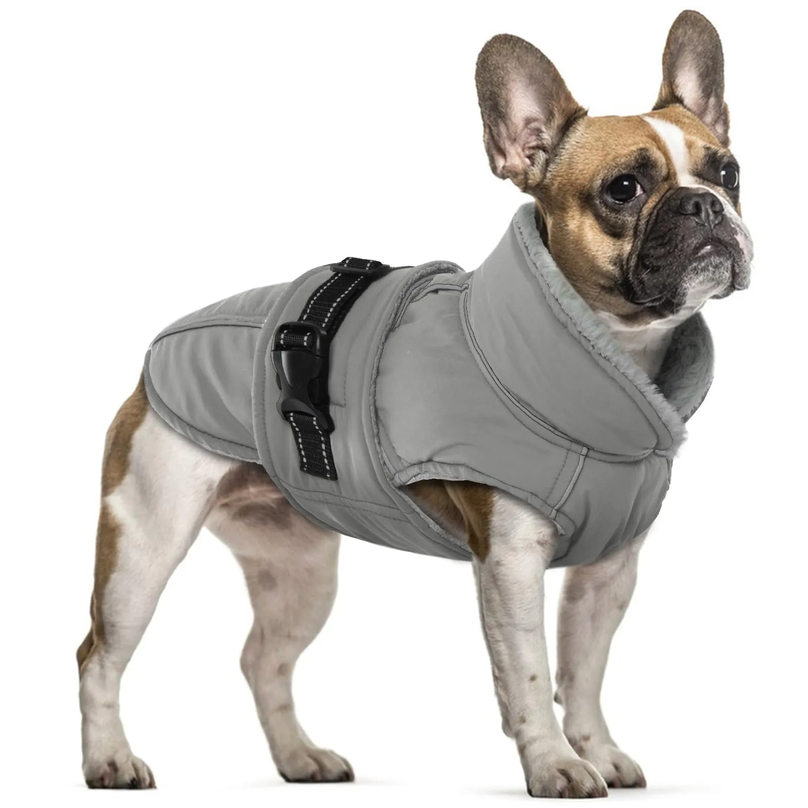 Cappotto Cani Taglia Media, Cappotto Impermeabile per Cani Giacca Calda Cappotto Neve Cani Abbigliamento Invernale per Cani di Taglia Piccola Media Grande con Foro per Imbracatura(Grigio, M) - immagine 1