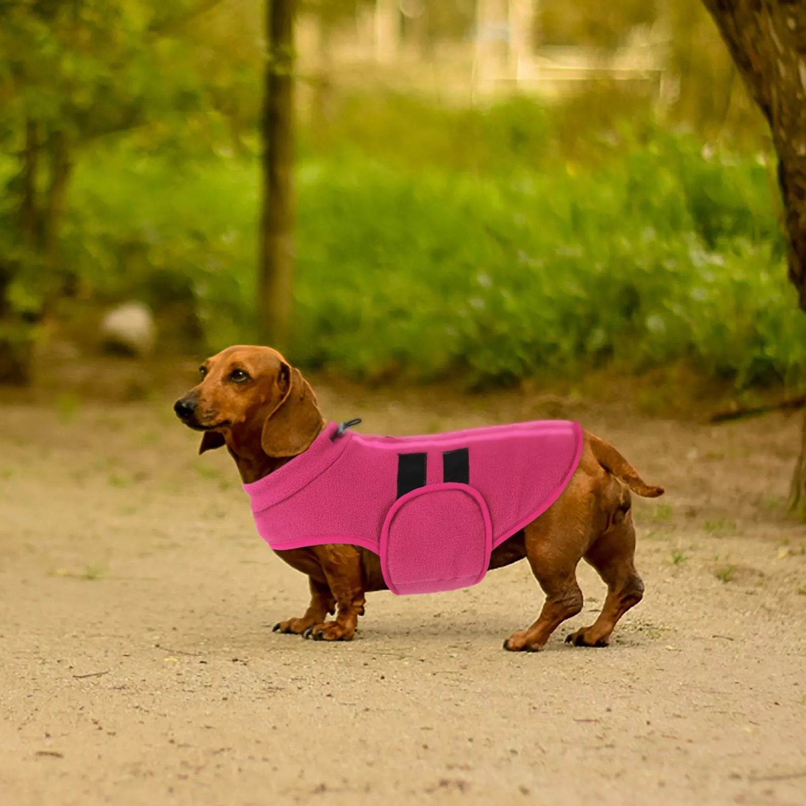 Queenmore Maglione Cane Taglia Grande, Felpa Cane, Maglioncino Cane - immagine 8