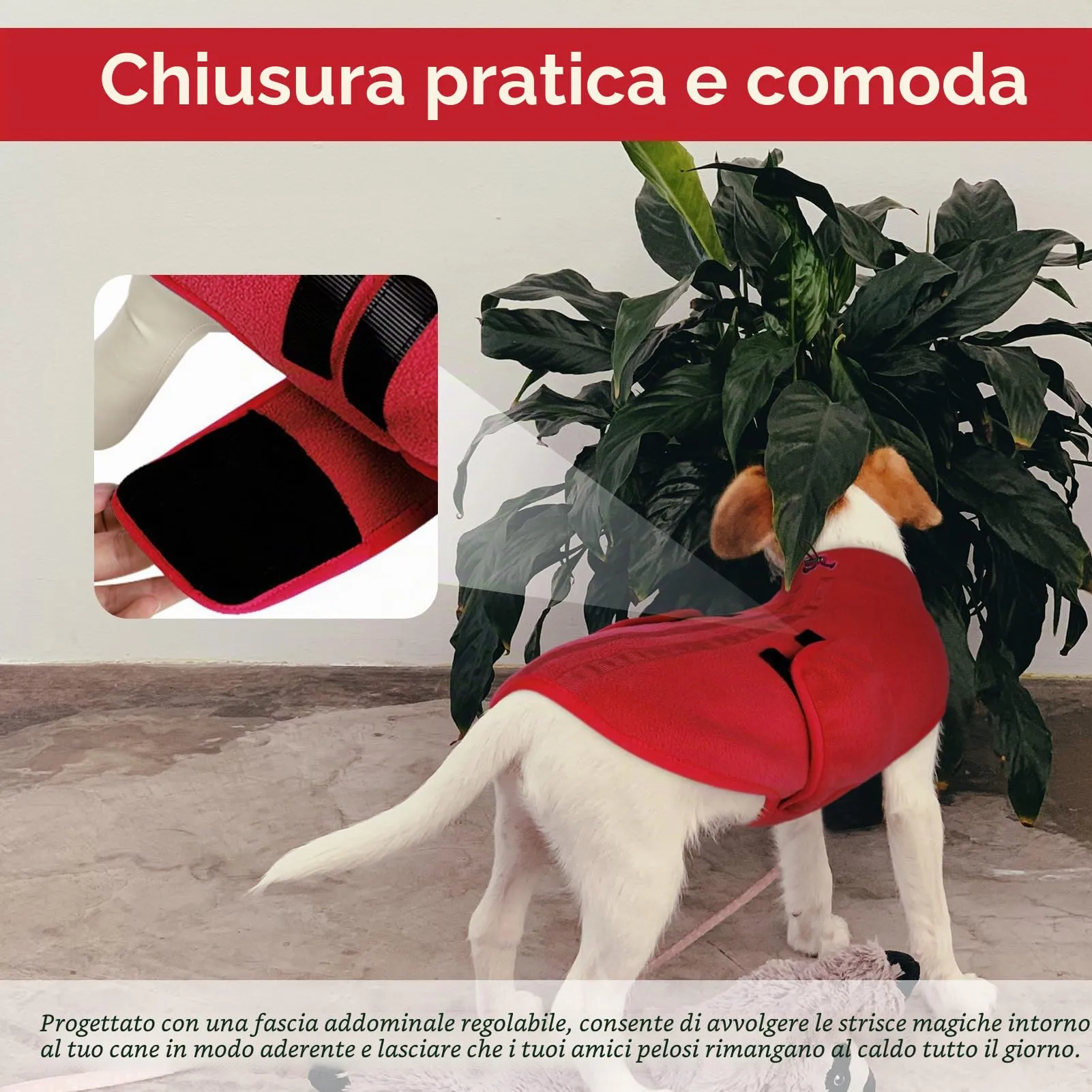 Queenmore Maglione Cane Taglia Media, Felpa Cane, Maglioncino Cane - immagine 4