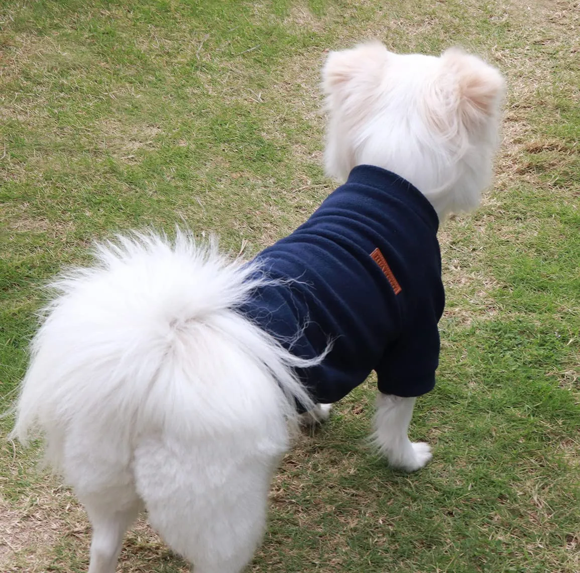 HuaLiSiJi Maglione per Cani Grandi Bulldog Francese, Morbido e Elastico, Colori Vivaci (4XL Nero) - immagine 5