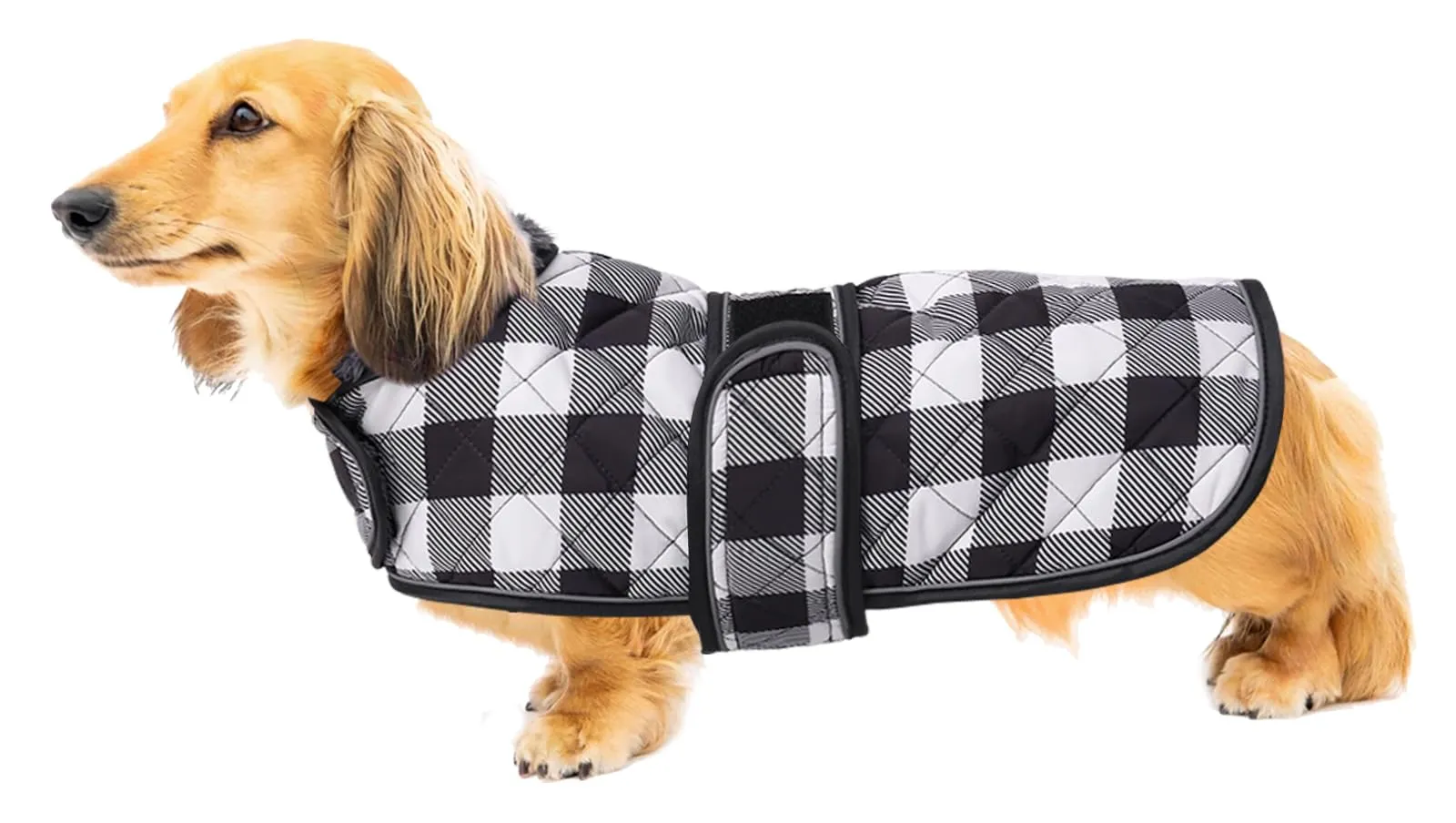 Geyecete Impermeabile Cappotto Cane, Bassotto Invernale Cappotto,Giacca del Cane con fodera in pile calda all'interno,Abbigliamento Regolabile per Cani all'aperto per Miniatura Bassotto-Nero-XS - immagine 1