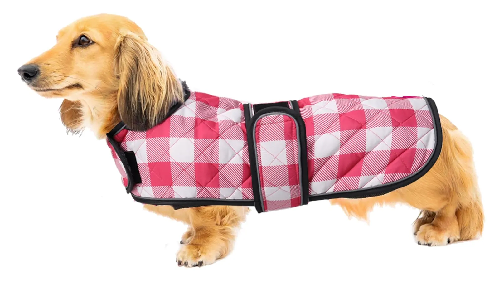 Geyecete Impermeabile Cappotto Cane, Bassotto Invernale Cappotto,Giacca del Cane con fodera in pile calda all'interno,Abbigliamento Regolabile per Cani all'aperto per Miniatura Bassotto-Rosa-XS - immagine 1
