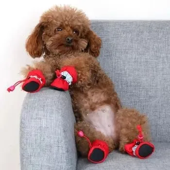 HalcyonFit 4 scarpe impermeabili per cani di piccola taglia, proteggono le zampe del tuo animale domestico e tienile asciutte, stivali da pioggia per cani (blu, S) - immagine 3