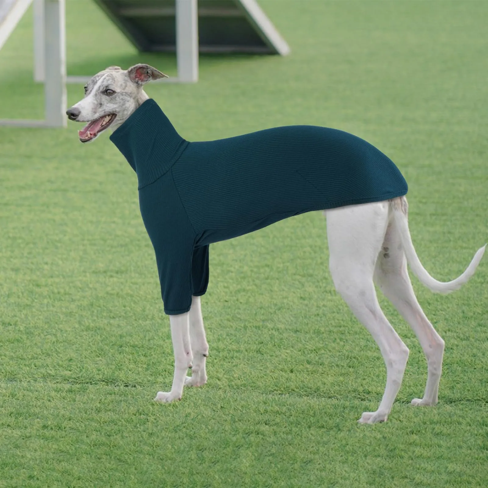 Felpe a collo alto, maglione per cani grande, lavorato a maglia per cani levrieri, maglione Lurcher (blu, XL) - immagine 5
